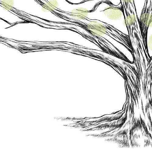 Guestbook Tree, Low Oak Thumbprint Alternative Guest Book Wedding, Family Reunions (Guestbook Sizes: 13" x 19" to 24" x 36")