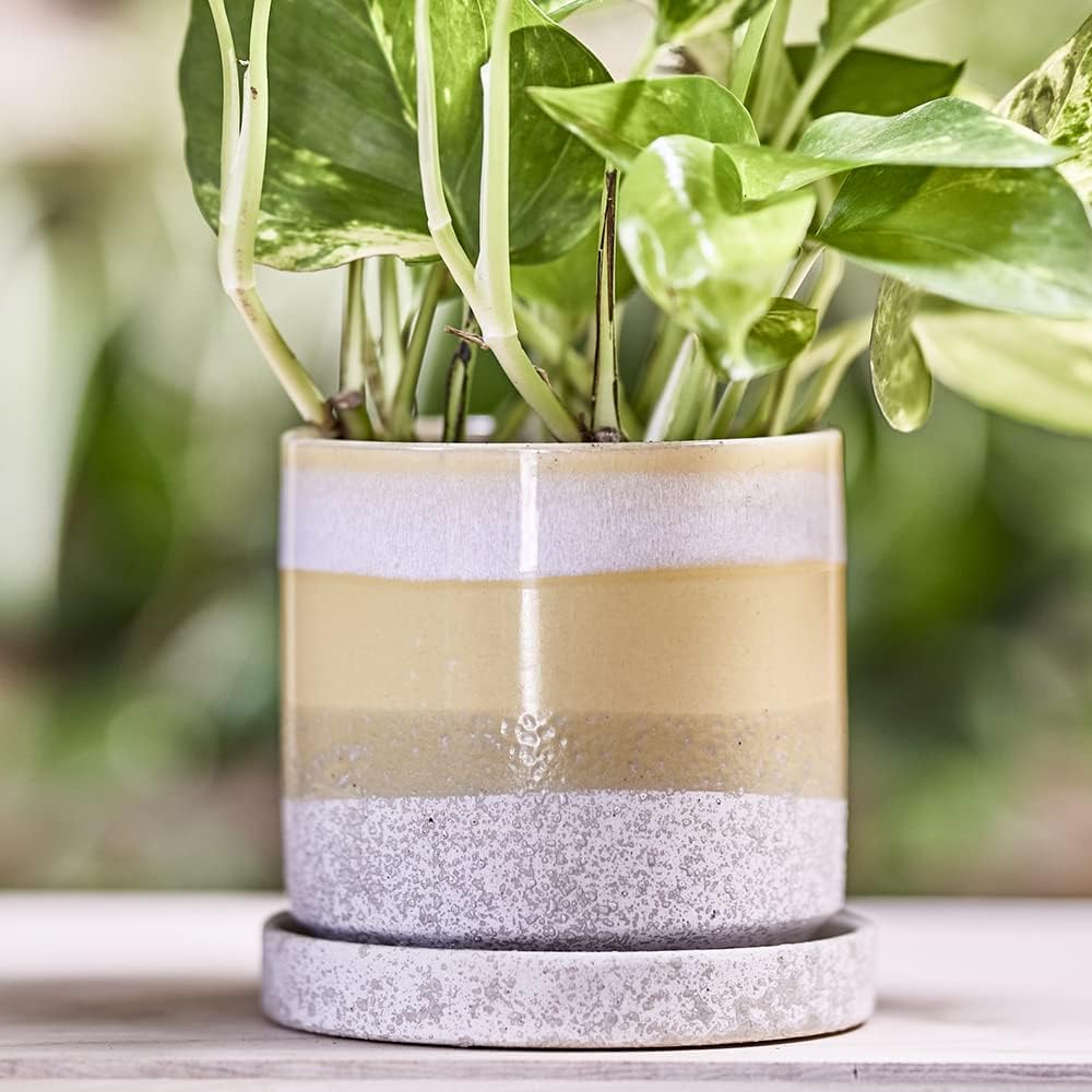 CHIVE - Minute, Succulent, Cactus Pot and Saucer Ceramic Flower and Plant Container with Drainage Hole and Detachable Saucer Great for Indoor/Outdoor Garden Decor (Yellow)