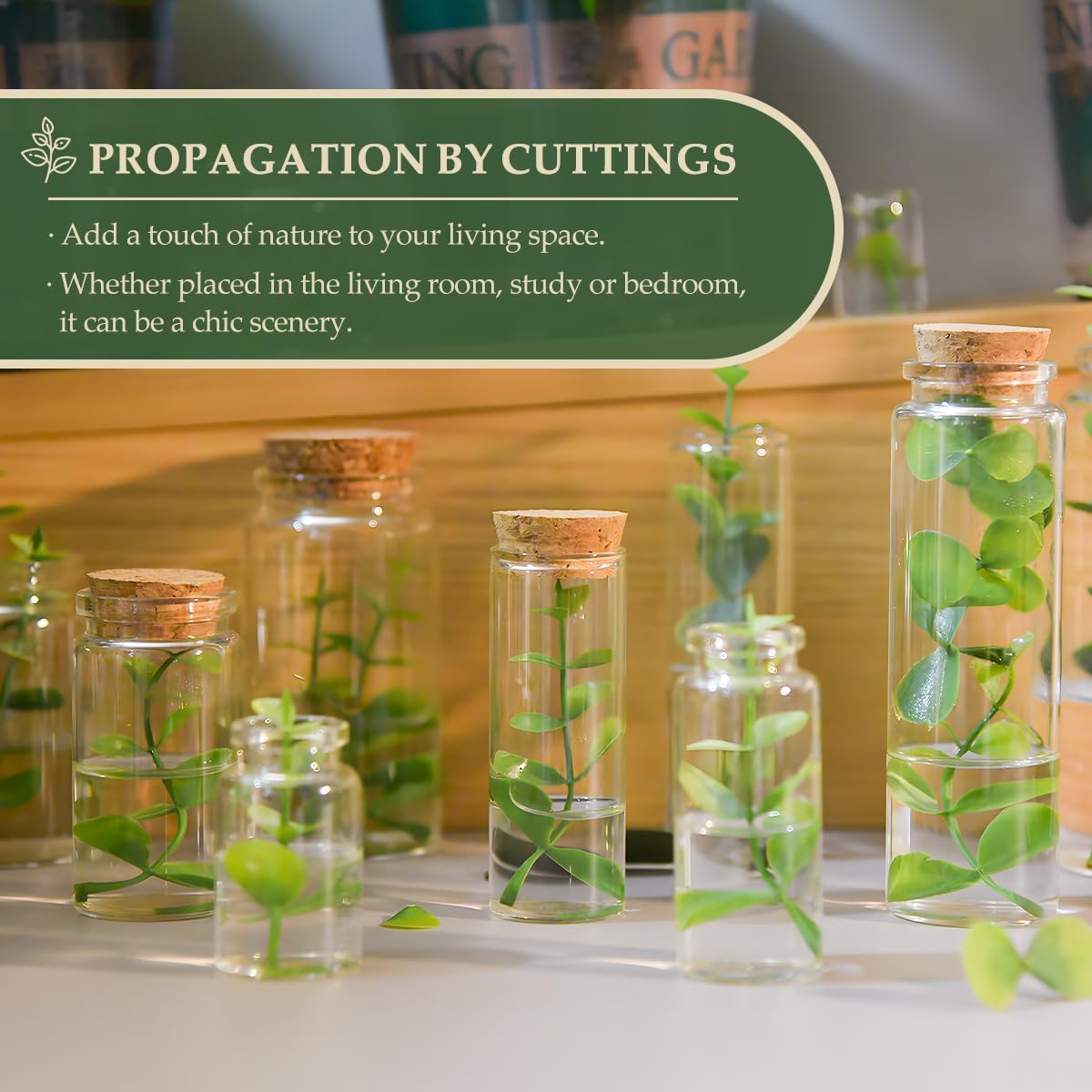 JIUYUE 10 pcs 50 ml Small Glass Bottles with Cork,Jars with Cork Lids(1.69 oz-1.45x2.75 inch)