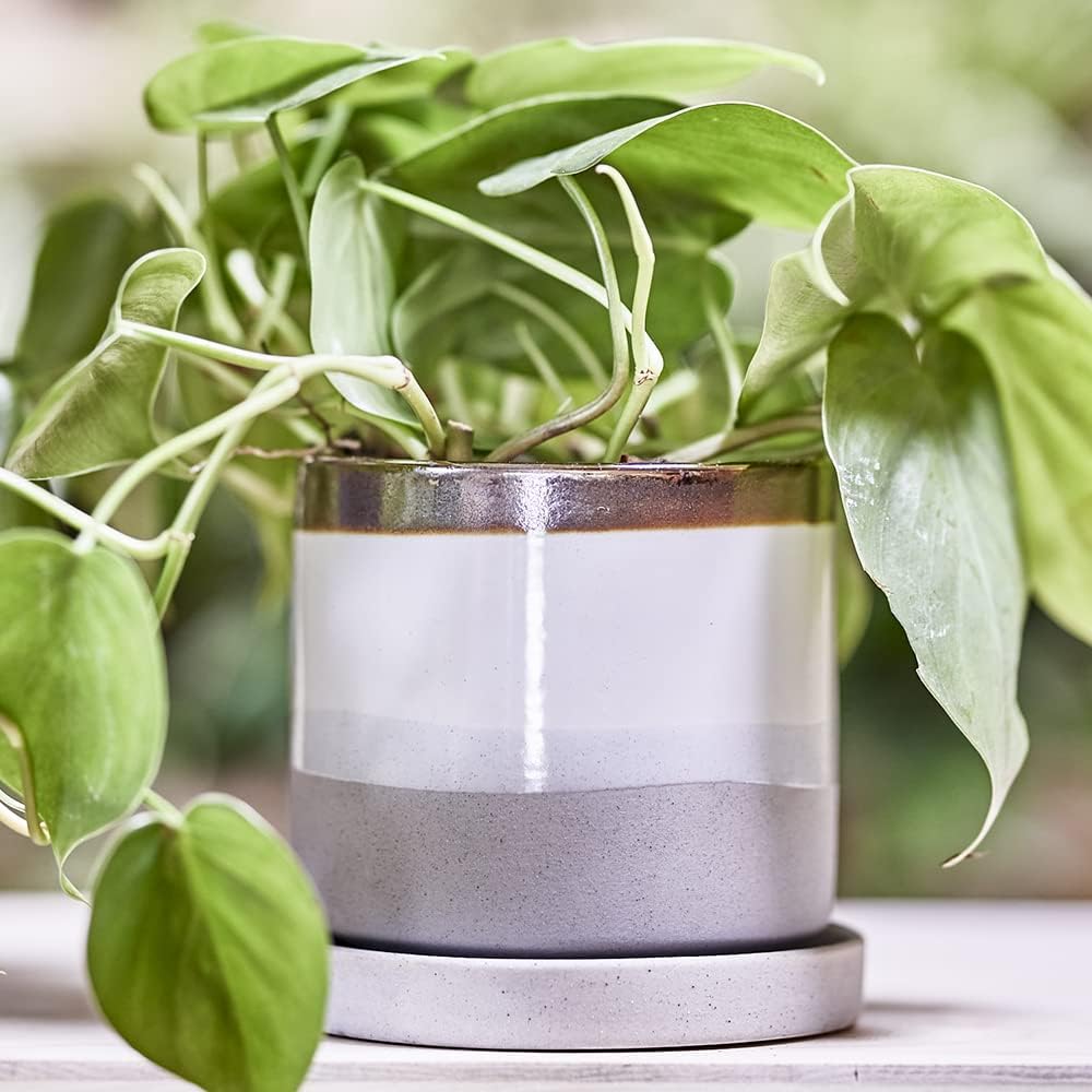 CHIVE ‘Minute’ Ceramic Planter Pot — Cute 5” Colorful Succulent Pots for Indoor & Outdoor House Plants — Beautiful Modern Farmhouse Kitchen Decor — Mocha Cement