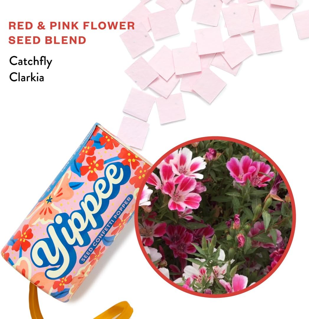 Modern Sprout Plantable Seed Paper Confetti Poppers Refill Packs (12 Pack/100pc) - Plastic-Free Refill for Creative Gardening - Wildflower Seeds for Kids Garden Party Favors & Birthday Poppers -Yippee