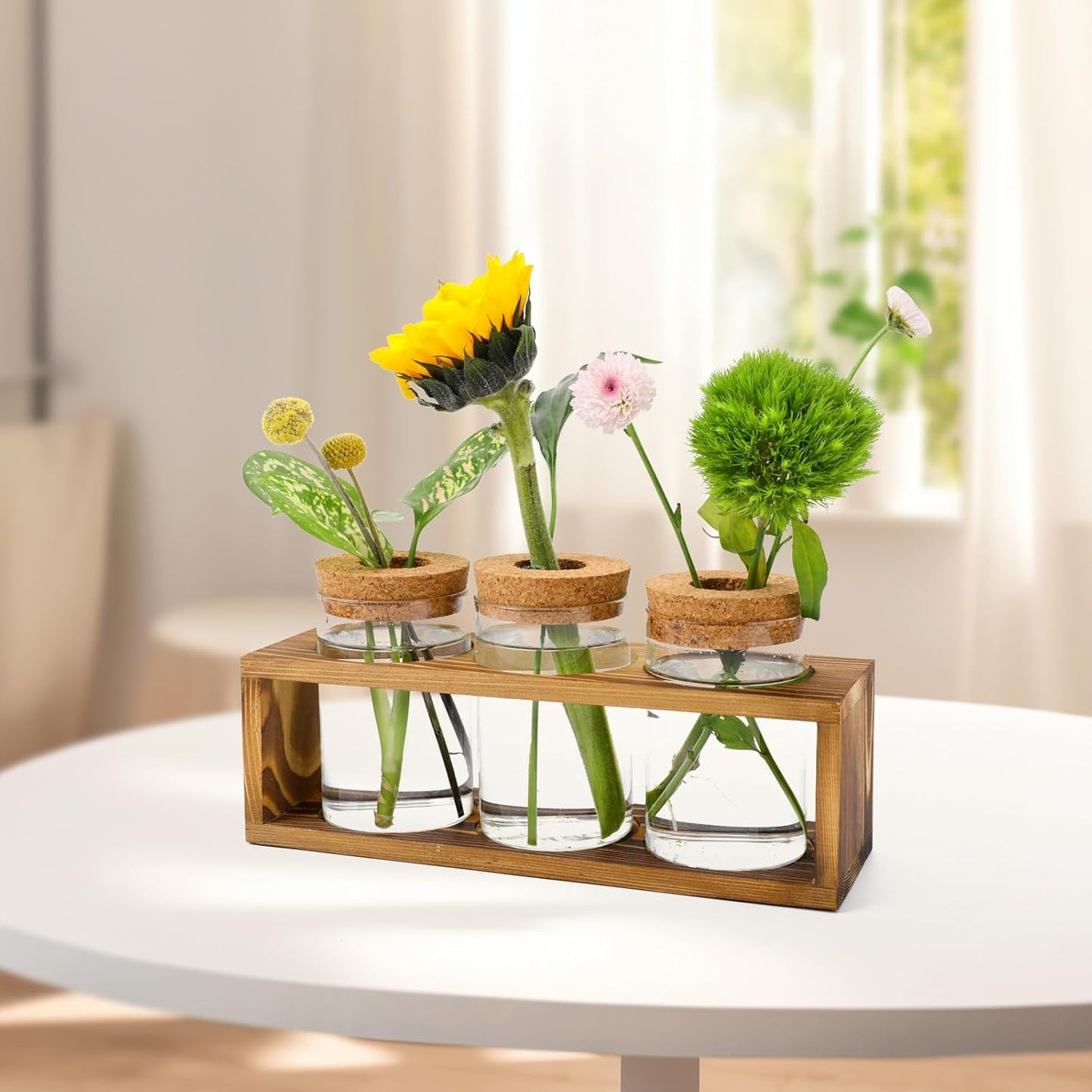 Propagation Stations, Plant Terrarium for Indoor Hydroponic Decor, Glass planters for Fresh Cuttings, Unique Birthday Gifts for Women & Mom, Home/Office Decor