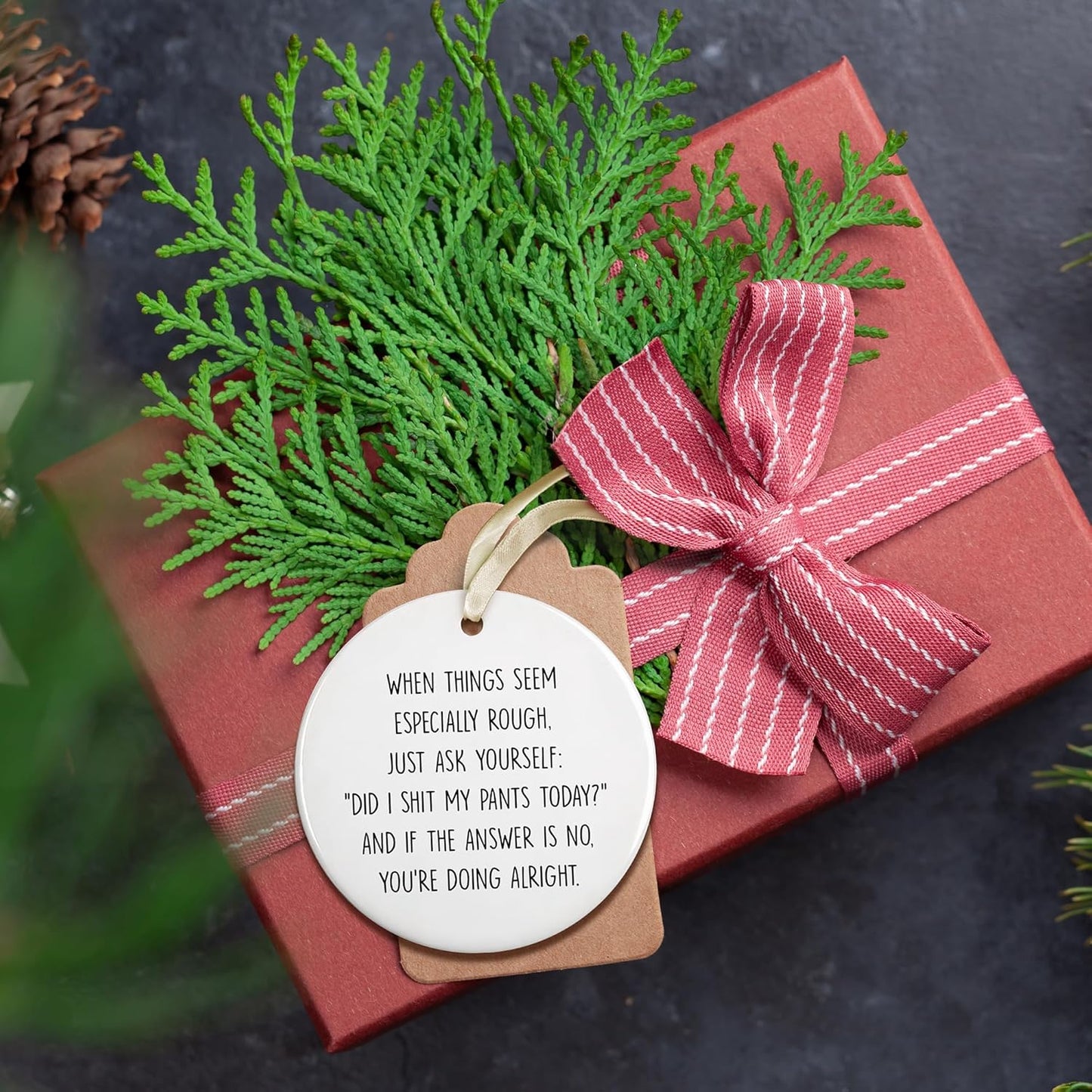 Pawzity Funny Christmas Ornaments - Funny Gifts for Xmas - Christmas Keepsake for Women, Men, Friends, Coworkers - Ceramic Ornament