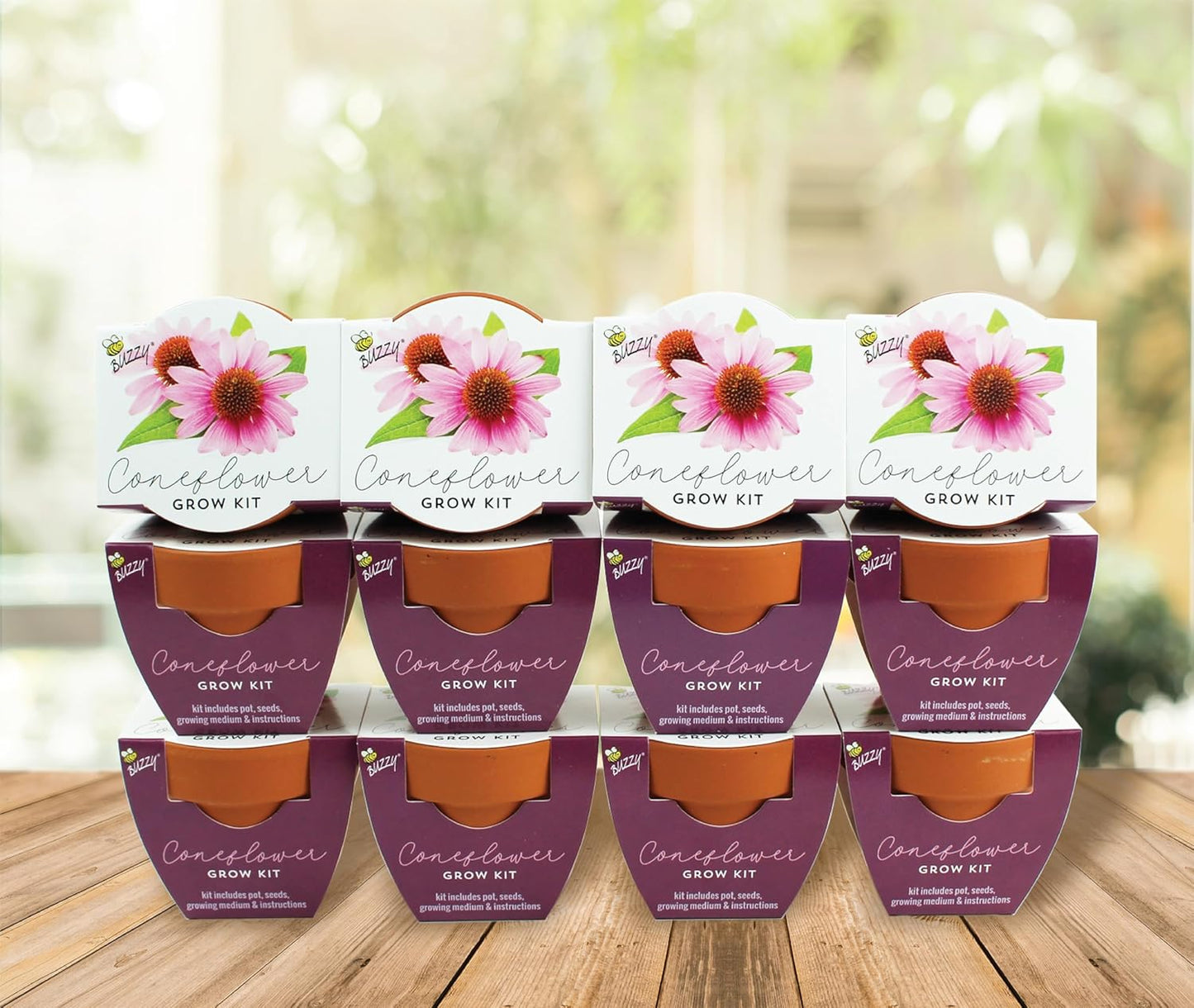 BUZZY Seeds Terracotta Mini Grow Pots | Herb, Plant, Flower Starter Kit for Kids & Adults | Coneflower 12-Pack, Classic Collection | Guaranteed to Grow | Best Indoor-Outdoor Gardening Gift