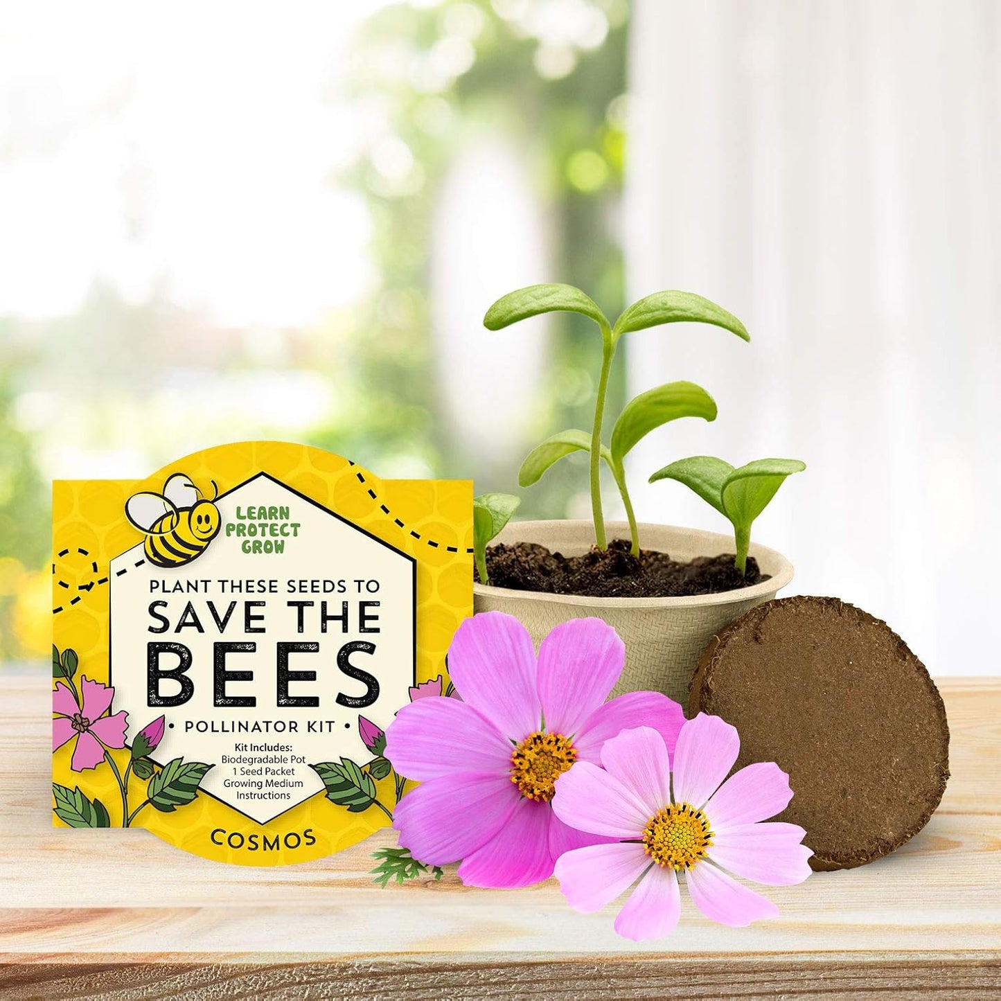 Buzzy Seeds Save The Bees Biodegradable Grow Kit | Herb, Plant, Flower Starter Kit for Kids & Adults | Assorted Wildflowers 12-Pack | Guaranteed to Grow | Best Indoor Grow Your Own Plant