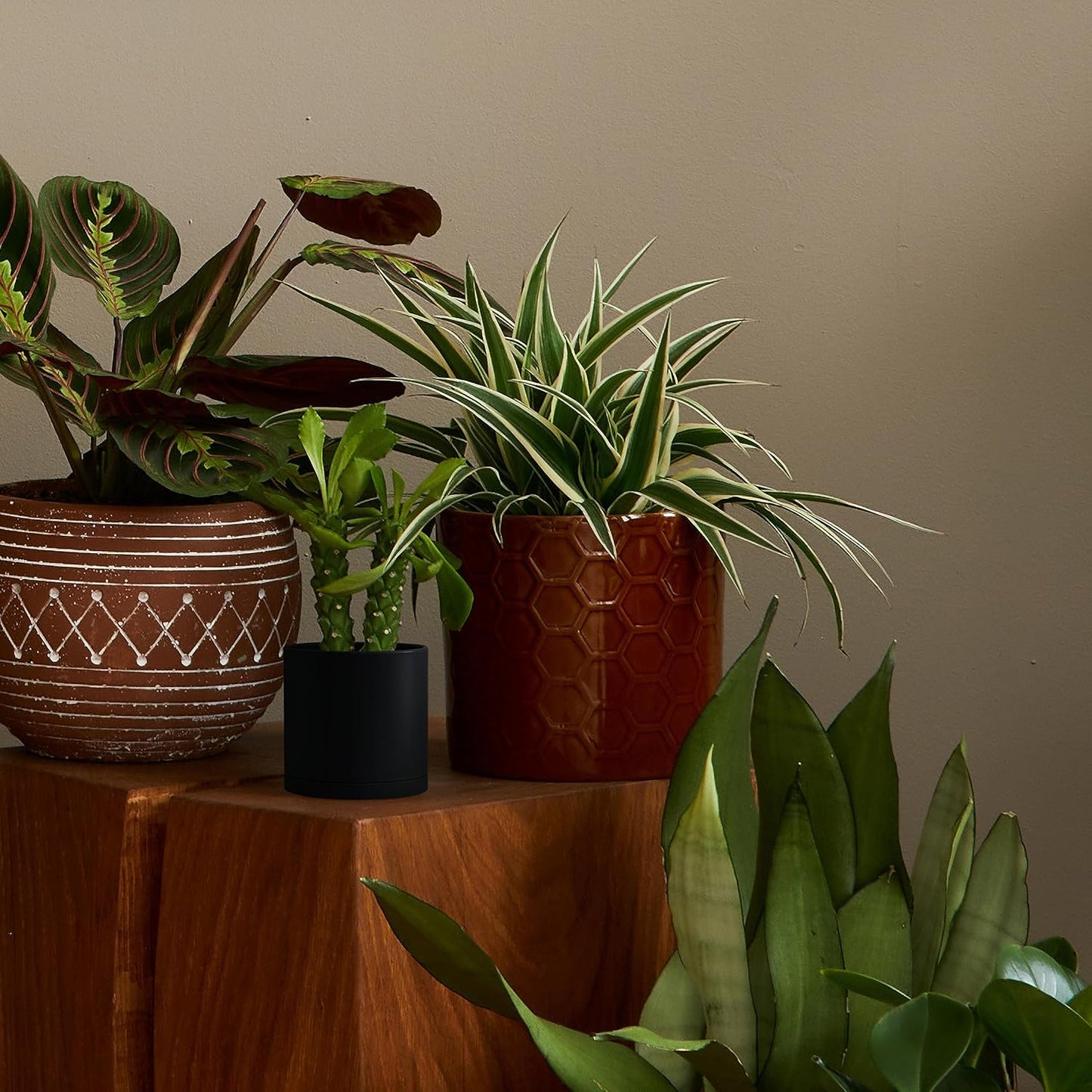 D'vine Dev 4 Pack 4.5 Inch Modern Plastic Plant Pots, Small Garden Planters for Plant with Drainage Holes and Saucers, Black Color, 74-Y-F-2