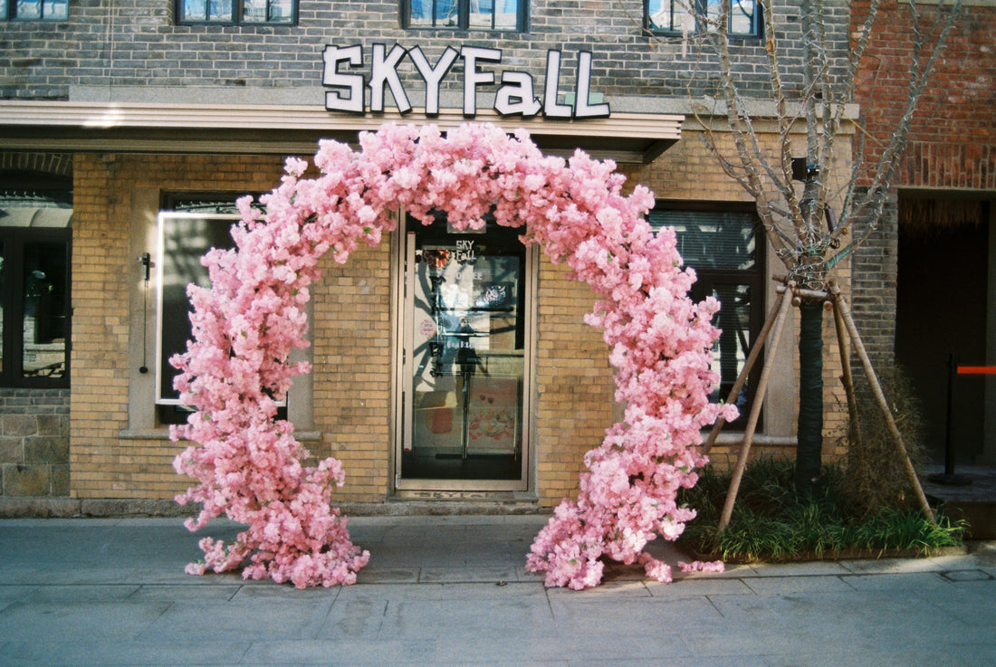 Graduation Balloon Decoration Trends in 2026