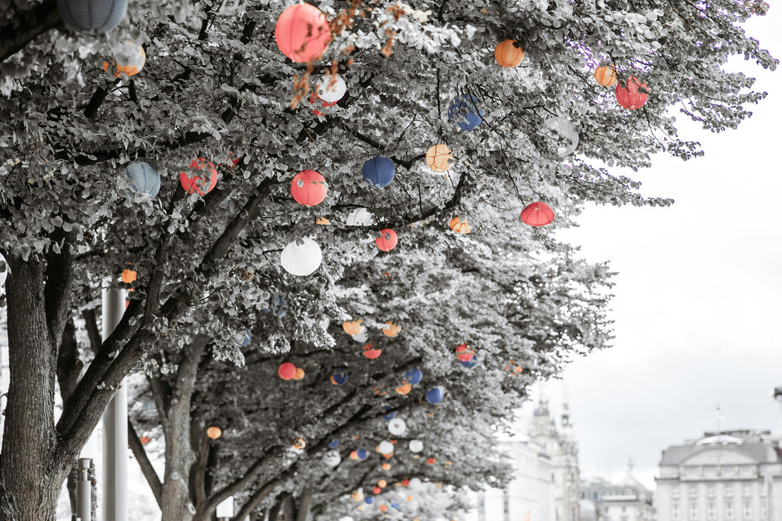 Winter Wonderland Snow Globe DIY Kit ❄️