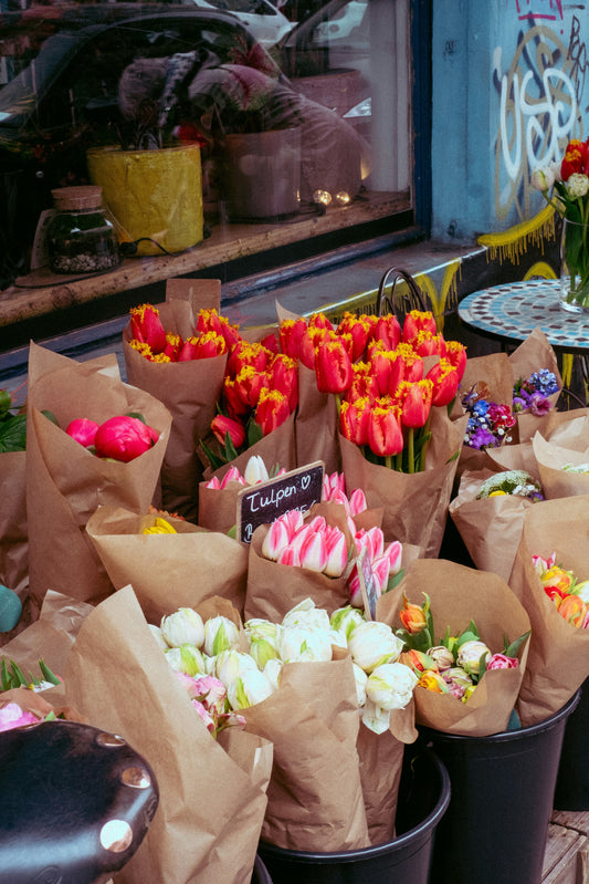Top 10 Must-Have Party Supplies for Spring 🎉🌸