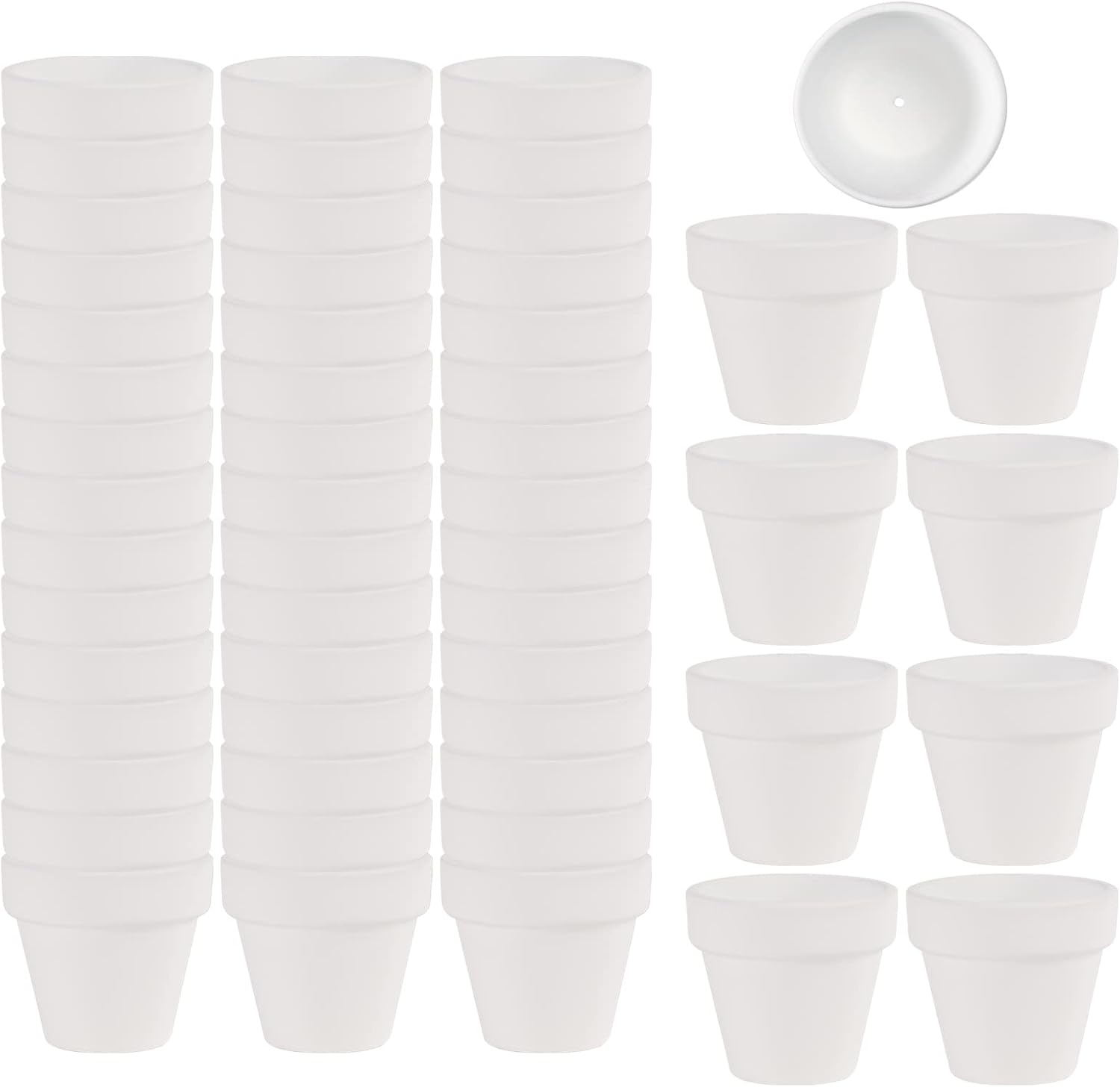 Gardening & Lawn Care