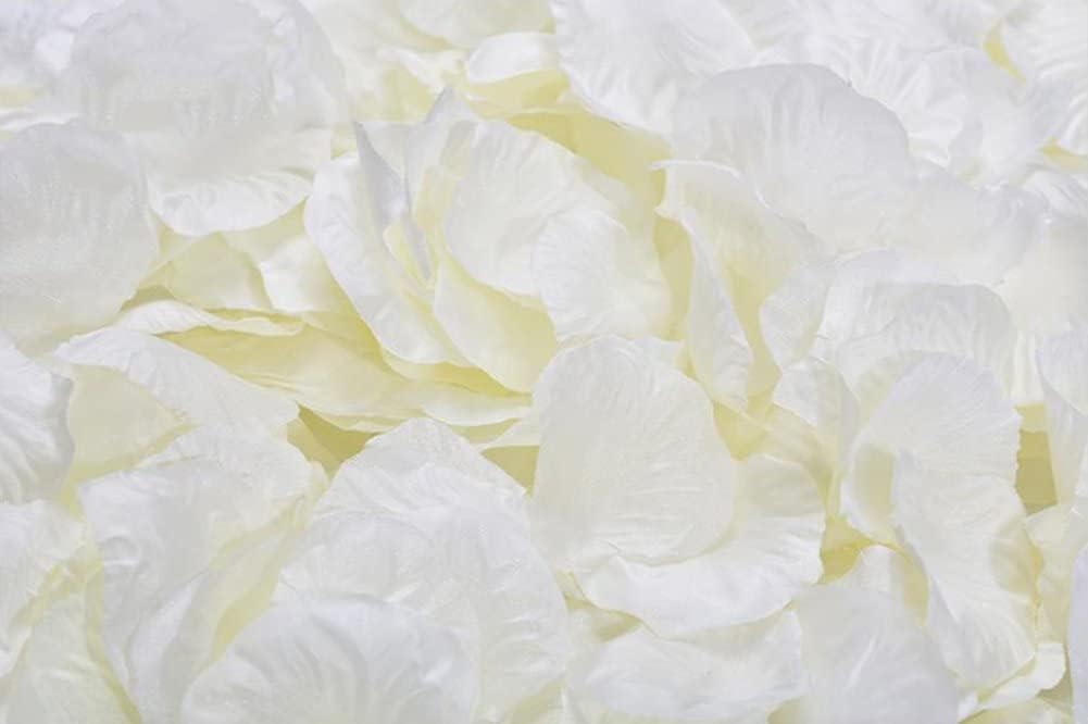 ocharzy 1000pcs Rose Petals Artificial Silk Flower Rose Petals for Wedding Decorations,Romantic Night,Valentine's Day, Parties,Events(Separated, Cream White)