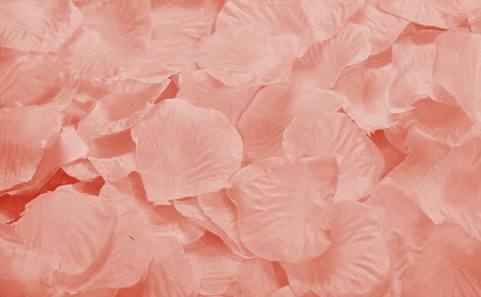 ocharzy 1000pcs Separated Champagne Like Pink, Rose Petals for Romantic Night,Wedding,Proposal Anniversary Flower Decorations