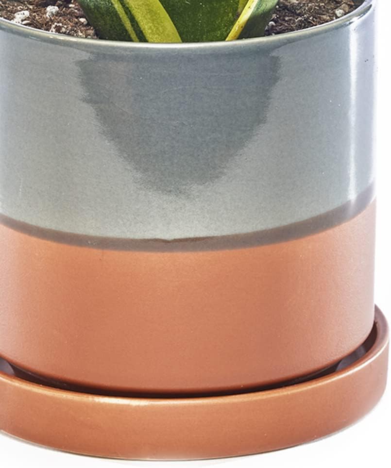 CHIVE ‘Minute’ Ceramic Planter Pot — Cute 5” Colorful Succulent Pots for Indoor & Outdoor House Plants — Beautiful Modern Farmhouse Kitchen Decor — Terracotta