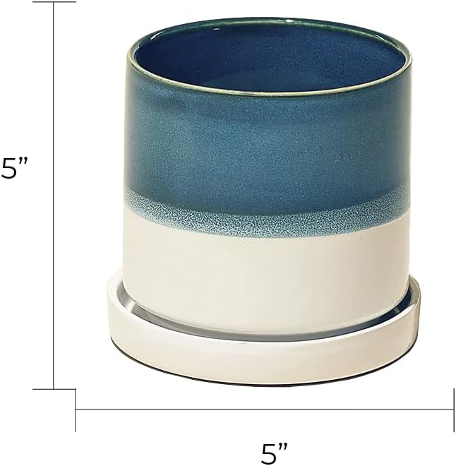 CHIVE ‘Minute’ Ceramic Succulent Planters — 5” Indoor Cactus & Flower Container Pots with Drainage & Detachable Saucer — Green Blue