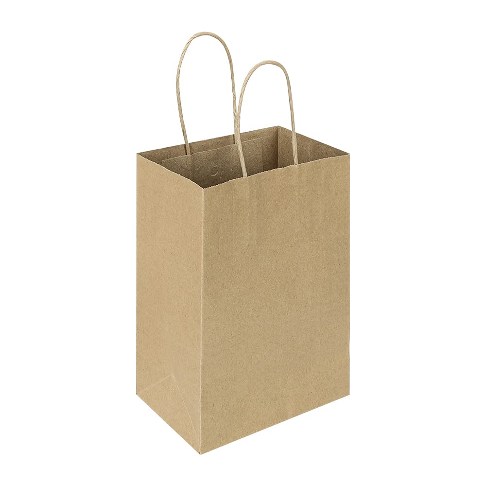 Oikss 100 Pack 5.25x3.25x8.25 Inch Small Plain Natural Kraft Paper Gift Bags with Handles Bulk for