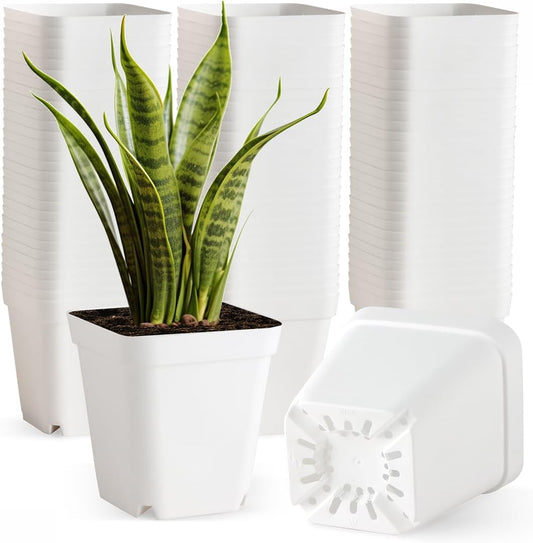 BTPLASTIK 80 Pcs Nursery Pots 4 Inch, Plastic Seed Starting Pot with Drainage Holes, Small Sturdy Seedling pots for Planting, Succulents, Transplanting, Cuttings (White)