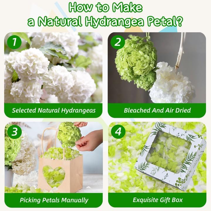 Real Dried Hydrangea Flower Petals -1.06Oz Real Natural Preserved Petals for Wedding, Party Confetti, Romantic Night, Proposal Decor, Handcrafts (Lime Green & White)