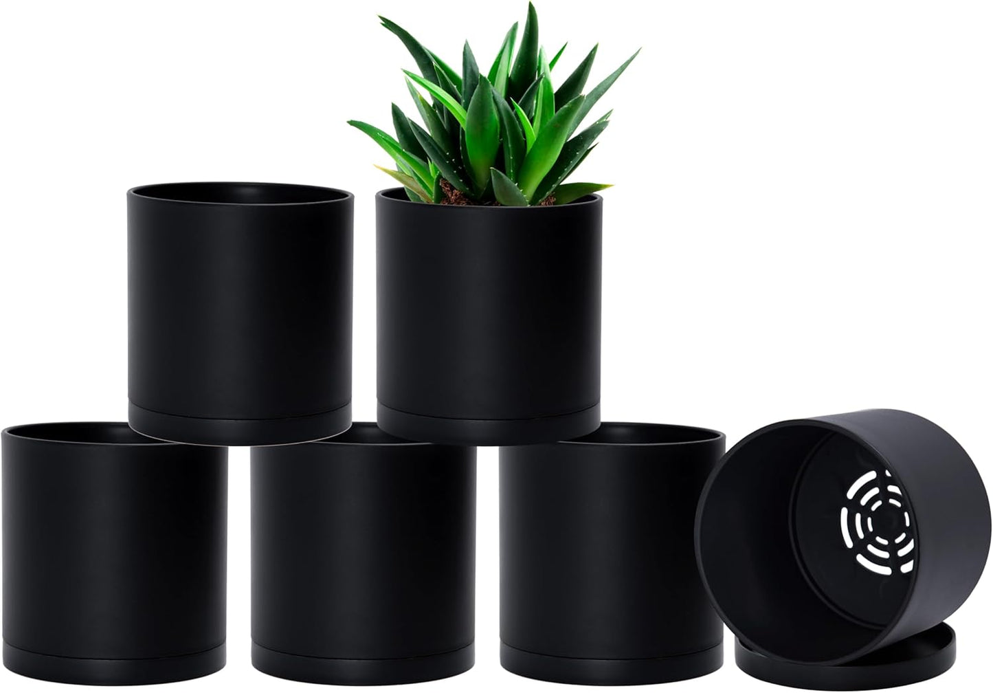 D'vine Dev 6 Pack 5 Inch Modern Plastic Plant Pots, Small Garden Planters for Plant with Drainage Holes and Saucers, Black Color, 74-Y-G-3