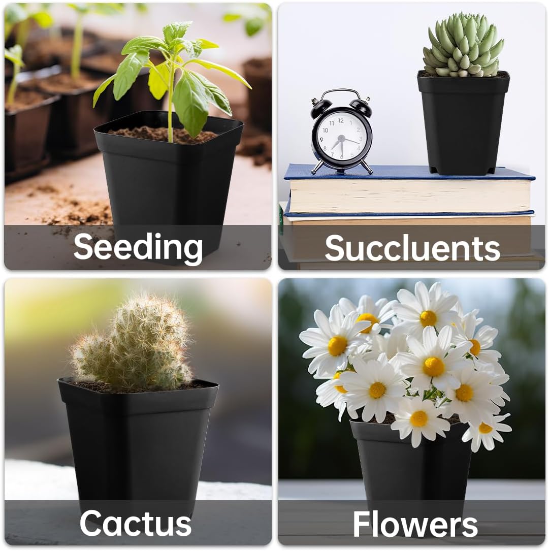 60 Pcs Nursery Pots 2.7 Inch, Plastic Seed Starting Pot with Drainage Holes, Sturdy Seedling pots for Planting, Cuttings (Black)