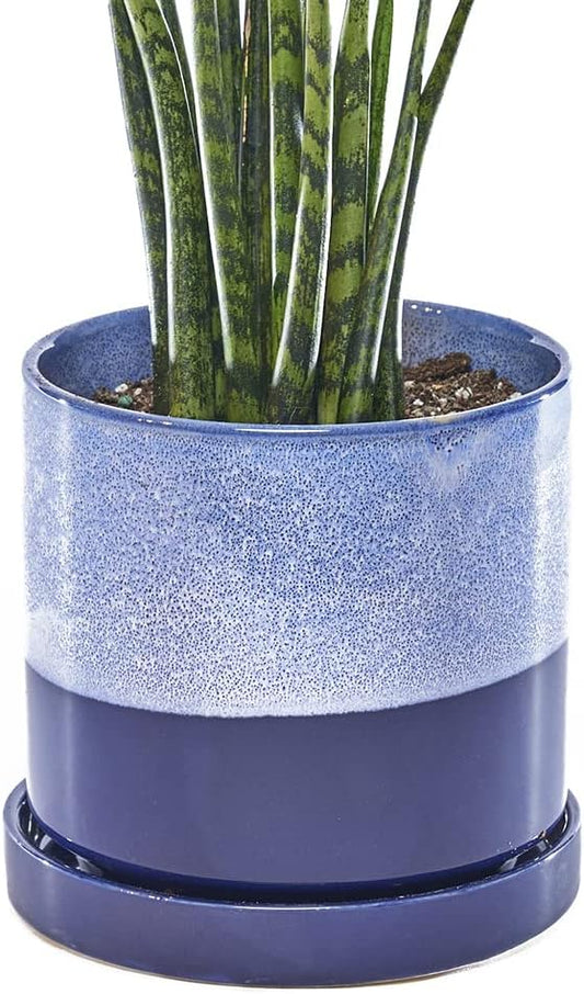 CHIVE ‘Minute’ Ceramic Planter Pot — Cute 5” Colorful Succulent Pots for Indoor & Outdoor House Plants — Beautiful Modern Farmhouse Kitchen Decor — Cobalt Blue