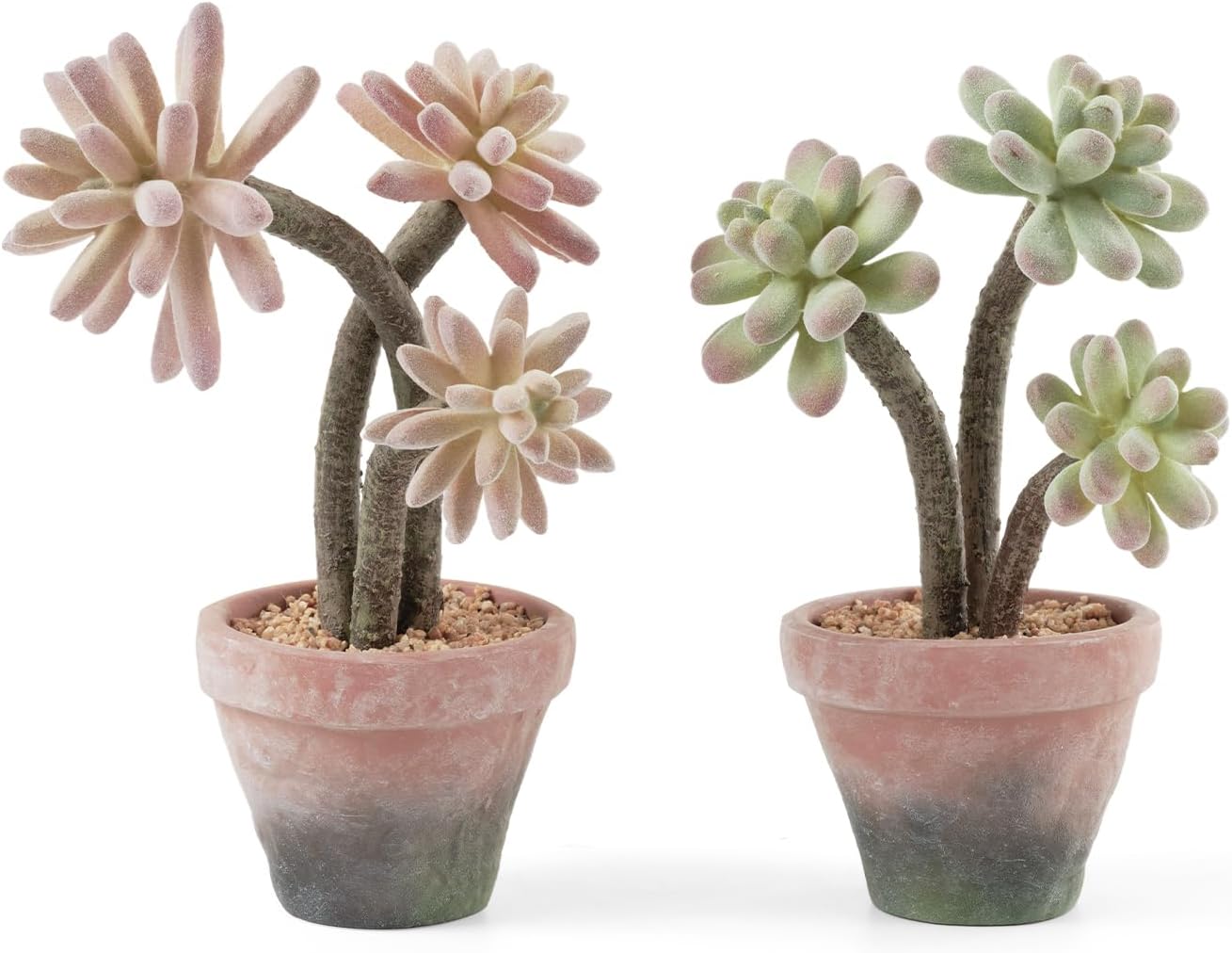 2-Pack Artificial Succulent Plants in Vintage Plastic Pots - Waterproof Fake Succulents Decor for Home, Office, Desk - Low Maintenance Indoor Plants for Bathroom, Shelf, Table Decor
