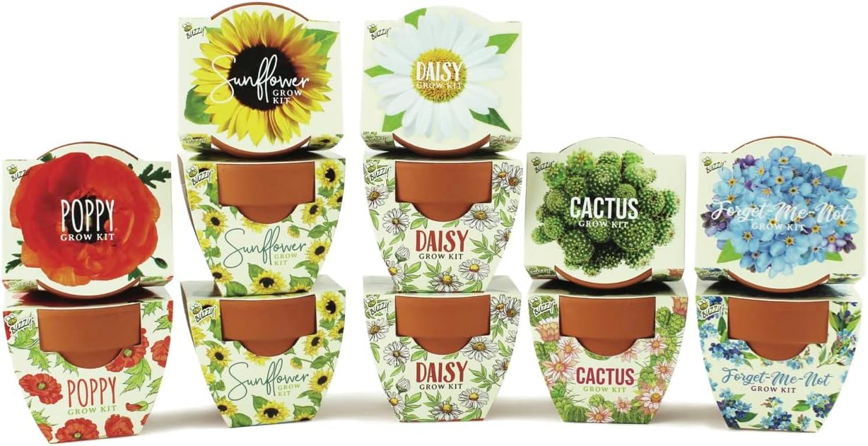 BUZZY Seeds Mini Terracotta Pots 12-Pack with Plant Seeds, Poppy, Sunflower, Daisy, Cactus and Forget Me Not, All-in-One Seed Starter Kit, Indoor Outdoor Gardening Gift, Wedding Favors