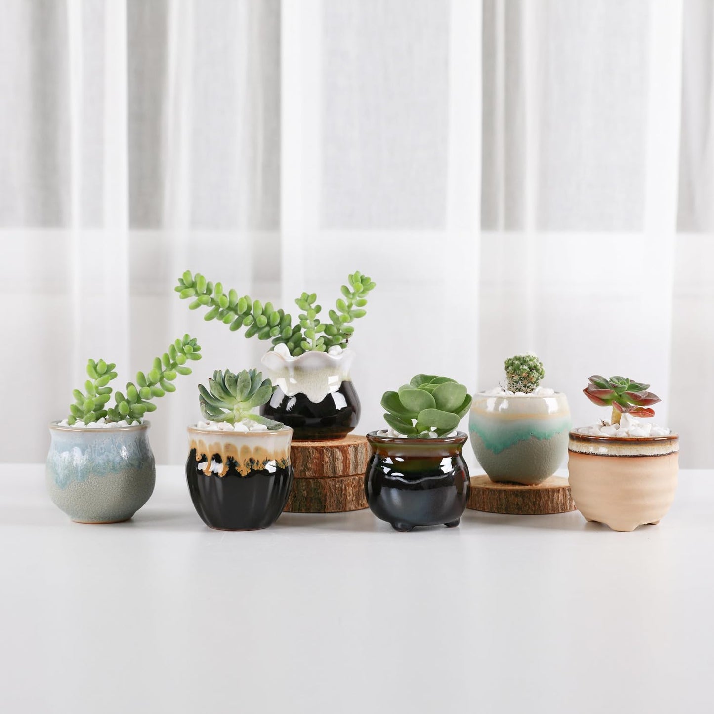 T4U Mini Ceramic Succulent Pots with Drainage - Set of 6, Tiny Pots for Plants, Home and Office Decor, Plant Lover Gifts for Women