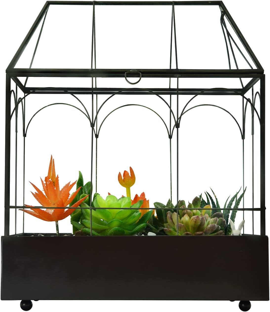 Large Tall Glass Plant Terrarium – House Succulent Terrarium Kit with Lip and Tray Glass Greenhouse Terrarium for Plant 9.5”X5.7”X11.4”