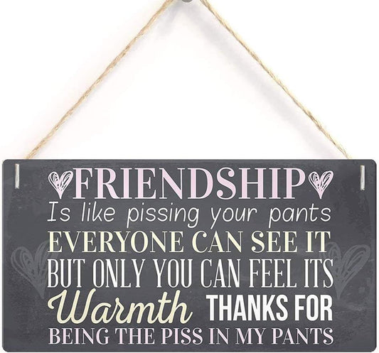 Rustic Wooden Signs Friendship Is like pissing your pants Sign Hanging Wall Art, Decorative Funny Sign Wall Art Decor Kitchen Cafe Pub Decor Gift 6x12 INCH