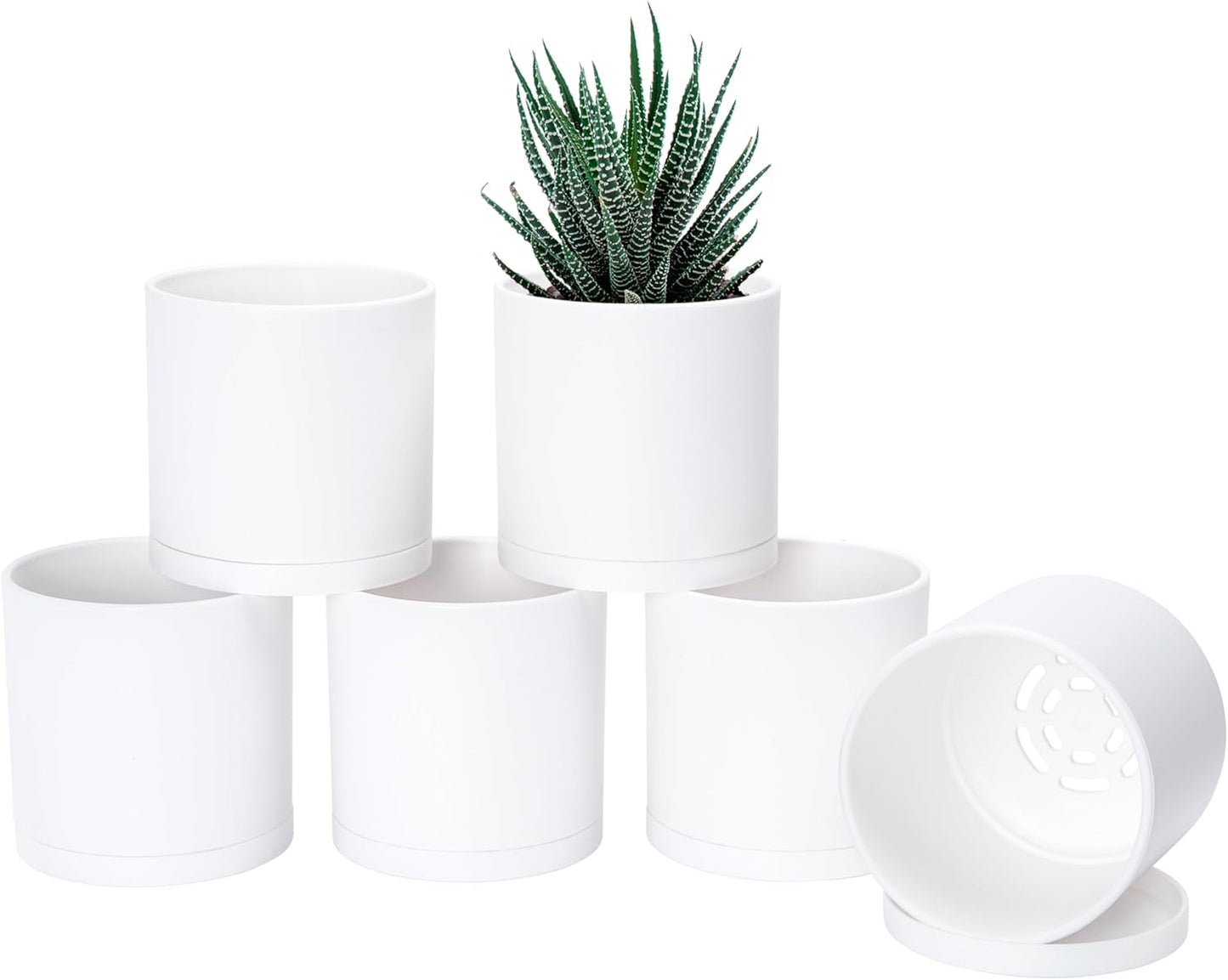 D'vine Dev 6 Pack 4.5 Inch Modern Plastic Plant Pots, Small Garden Planters for Plant with Drainage Holes and Saucers, White Color, 74-Z-F-3