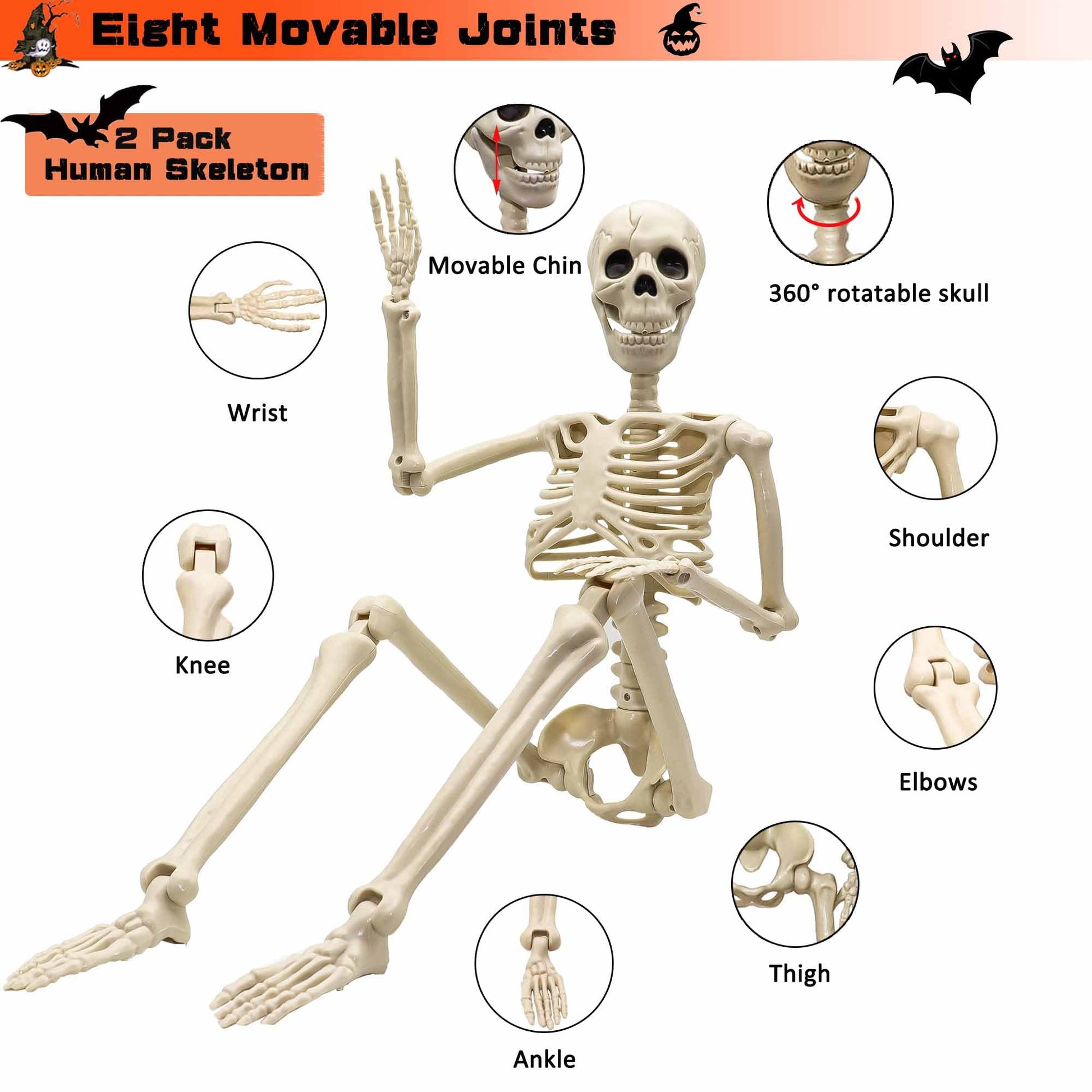 2 Pack 36"Halloween Skeleton - 3 ft Life Size Human Skeleton with Full Body Posable Joints Plastic