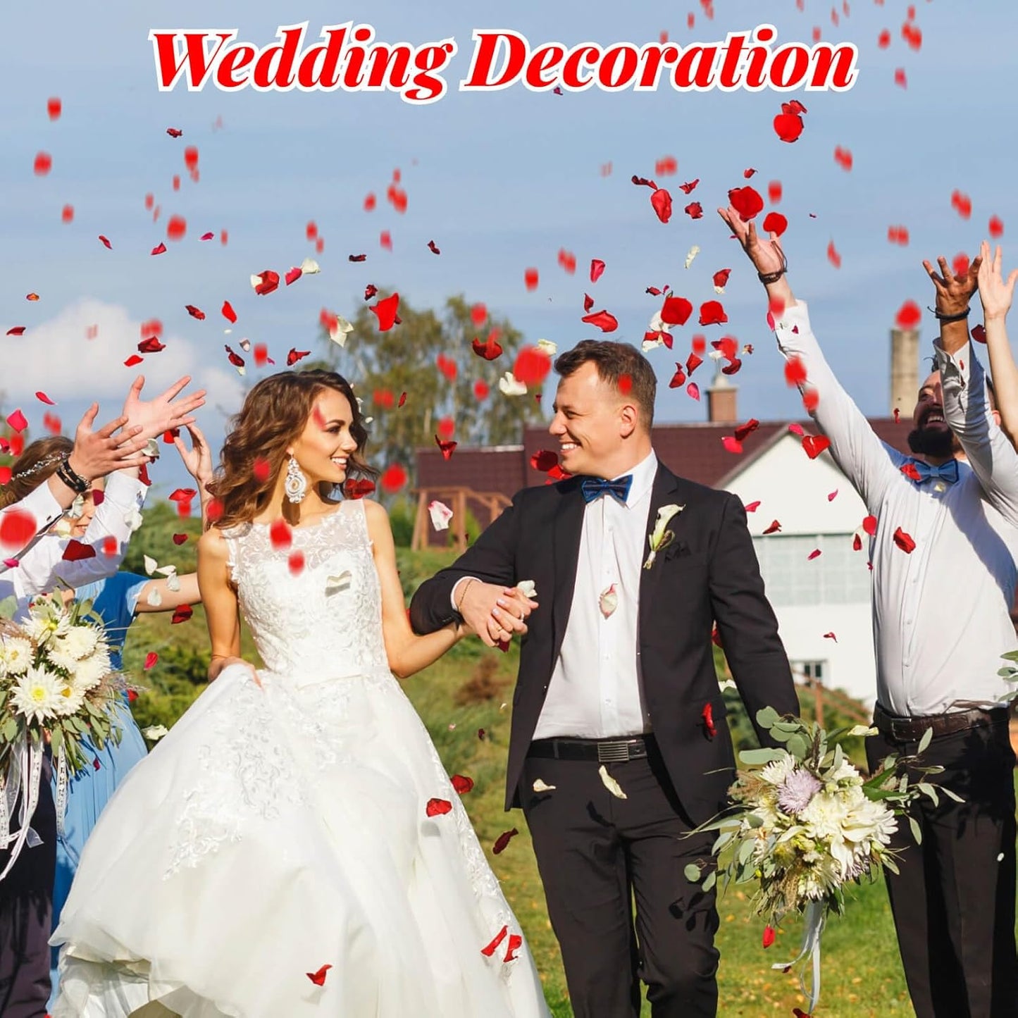 1500Pcs Real Dried Red Hydrangea Flower Petals - Natural small Petals for Wedding, Party Confetti, Valentine's Day, Flower Girl Baskets, Romantic Night, Proposal Decor, Handcrafts (1.06 oz)