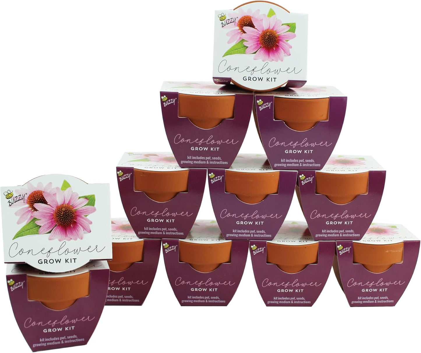 BUZZY Seeds Terracotta Mini Grow Pots | Herb, Plant, Flower Starter Kit for Kids & Adults | Coneflower 12-Pack, Classic Collection | Guaranteed to Grow | Best Indoor-Outdoor Gardening Gift