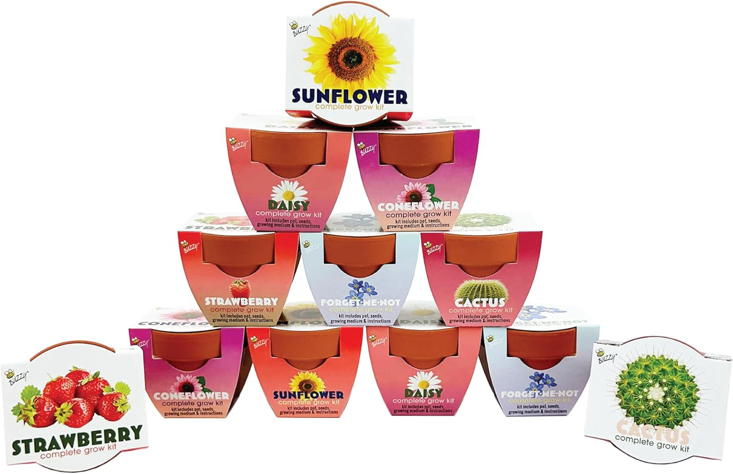 BUZZY Seeds Terracotta Mini Grow Pots | Herb, Plant, Flower Starter Kit for Kids & Adults | Assorted 12-Pack, Classic Collection | Guaranteed to Grow | Best Indoor-Outdoor Gardening Gift