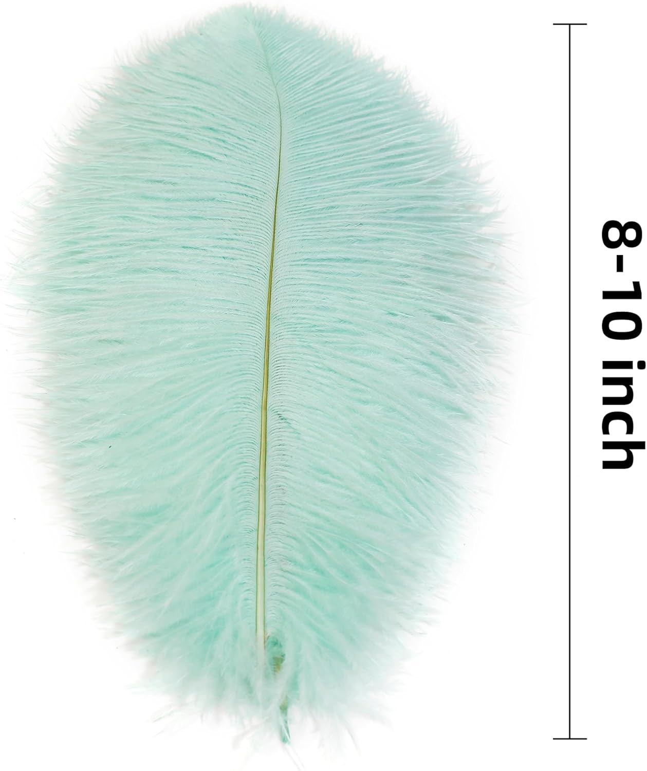 Ballinger Aqua Green Ostrich Feathers - 24pcs 8-10inch Craft Feathers Bulk for Wedding Party Centerpieces Mardi Gras Decorations and Home Decor
