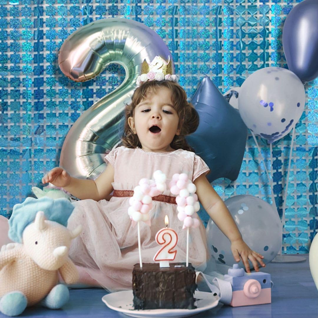 Frozen Birthday Party Decorations 10pcs Glitter Foil Fringe Curtain Party Decor Blue Photo Booth Backdrop Streamers for Halloween, Christmas, Birthday, Graduation, Wedding Party Decorations