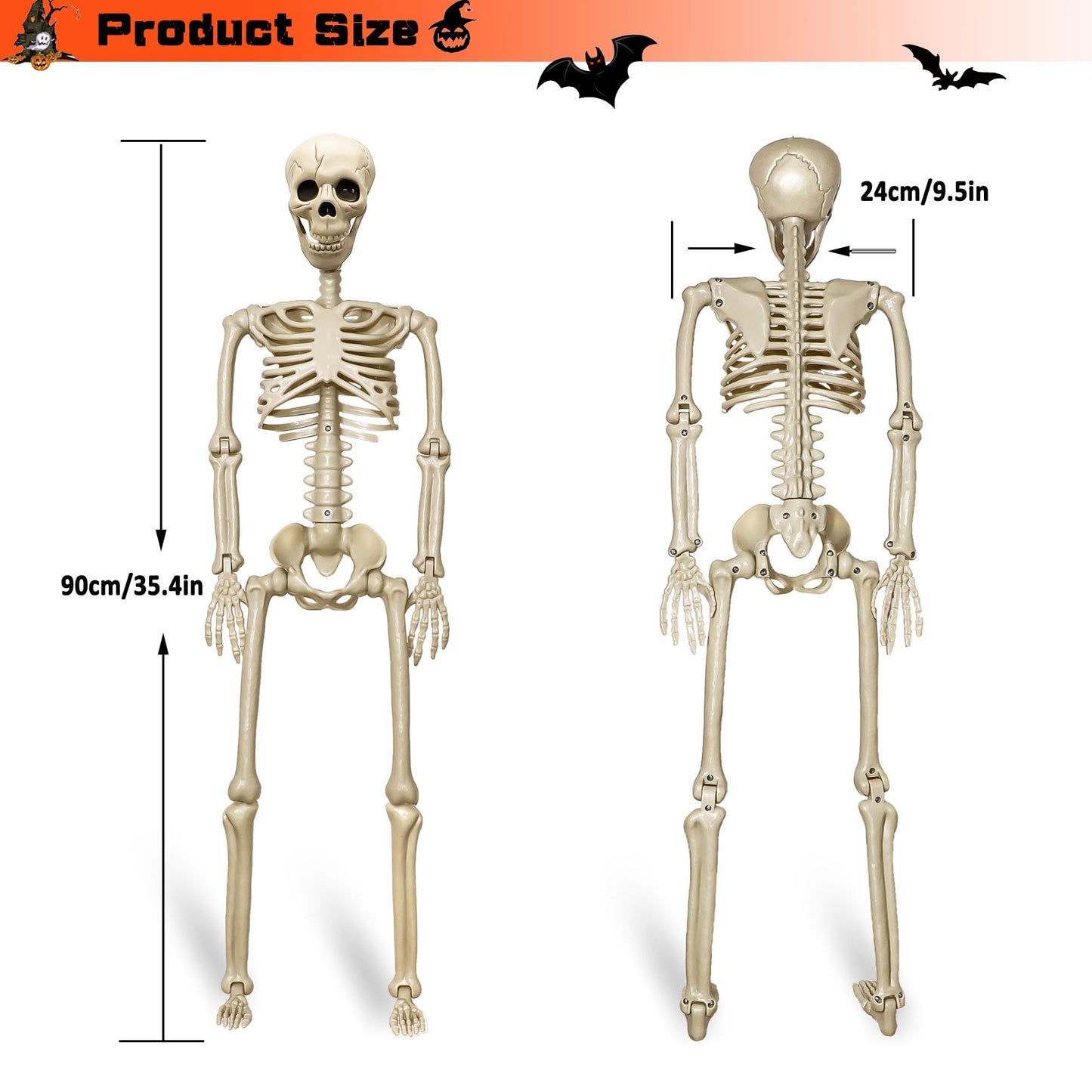 2 Pack 36"Halloween Skeleton - 3 ft Life Size Human Skeleton with Full Body Posable Joints Plastic