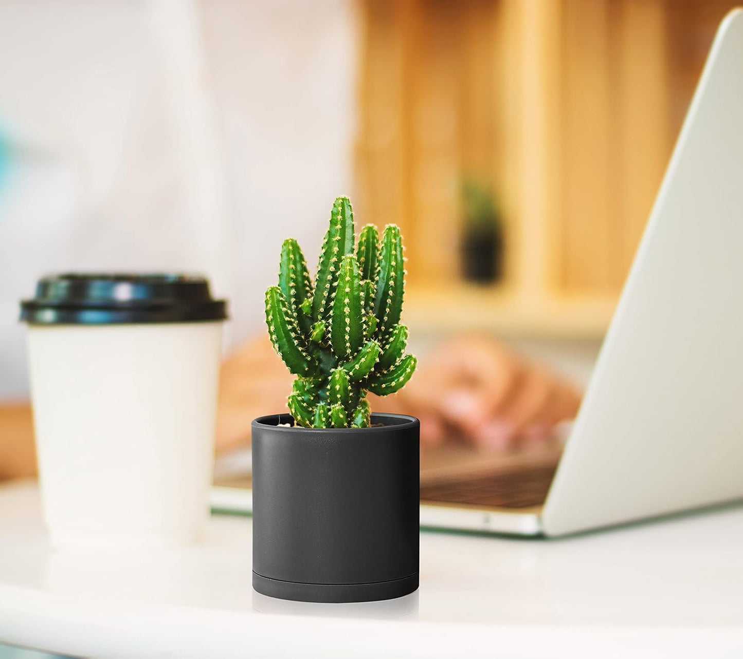 D'vine Dev 12 Pack 3 Inch Mini Plastic Plant Pots, Small Garden Planters for Plant with Drainage Holes and Saucers, Black Color, 74-Y-C-4