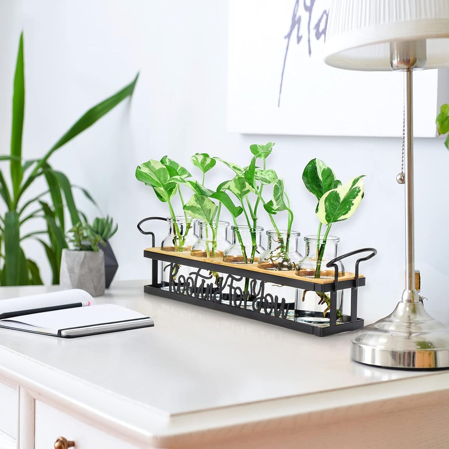 THYGIFTREE Plant Propagation Stations, Mothers Day Plant Lover Gifts for Mom Women Rooting for You Propagate Jars for Hydroponic Cuttings Propagating Vase