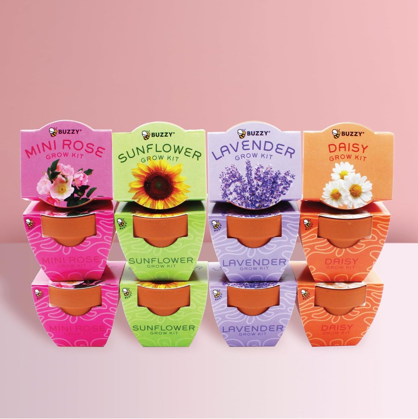 BUZZY Seeds Terracotta Mini Grow Pots | Flower Starter Kit for Kids & Adults | Assorted 12-Pack, Bright Series Collection, Daisy, Lavender, Mini Rose, Sunflower | Gardening Gift, Party Favors