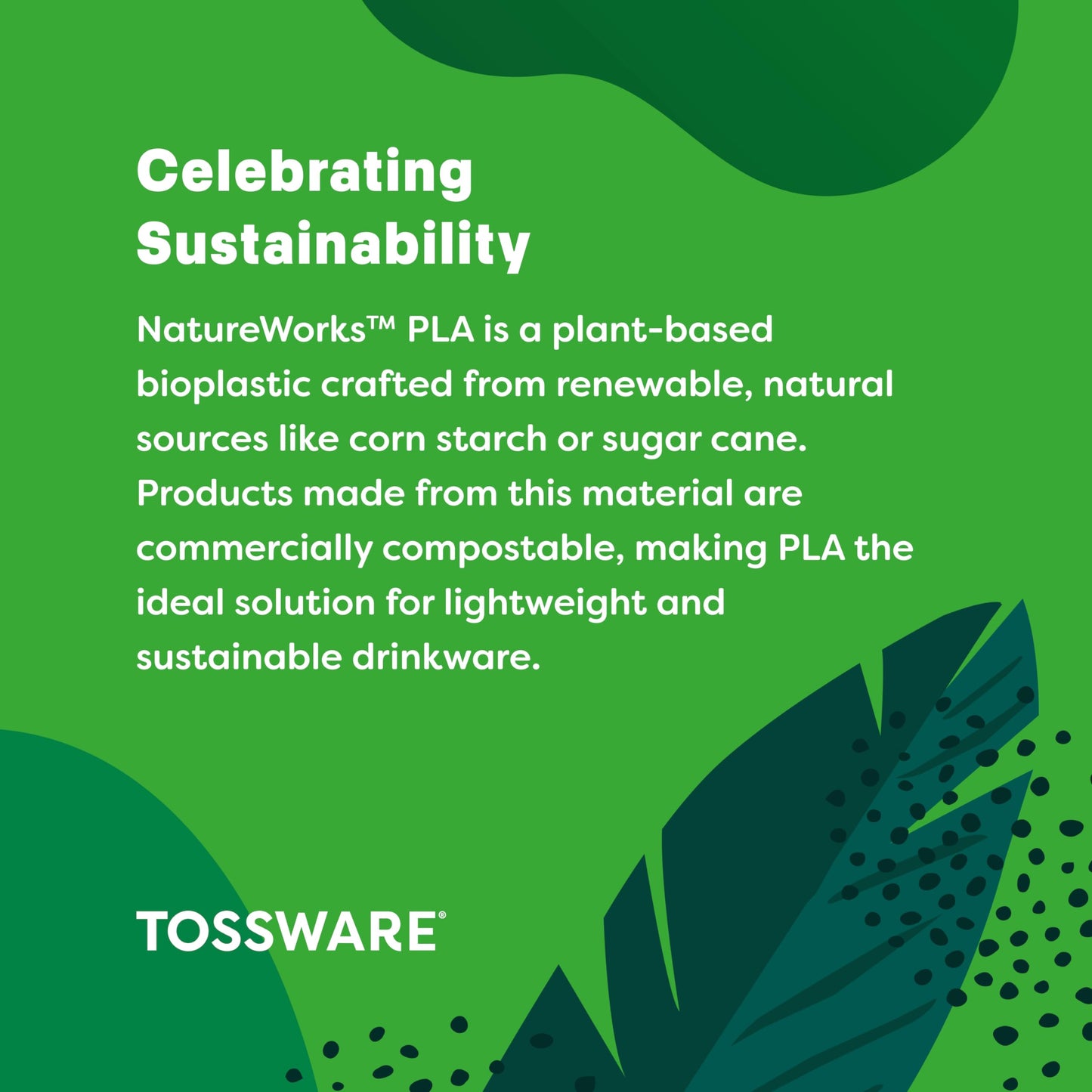 TOSSWARE NATURAL Arc - Plant Based Clear Cold Cups 12 oz - Plastic Alternative for Parties