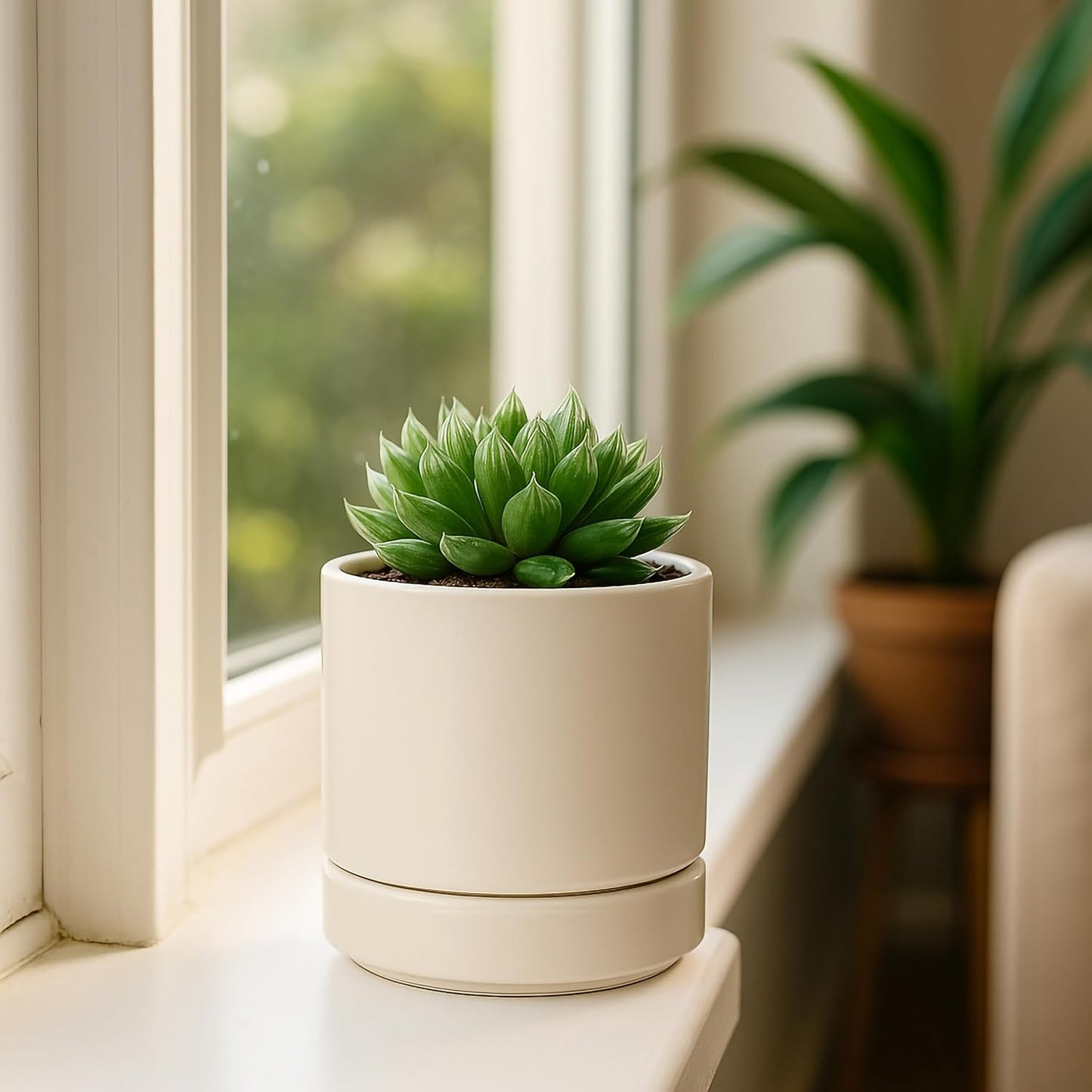 D'vine Dev Set of 4 Small Ceramic Plant Pots, 4.7 Inch Succulent Planter Pot for Plants with Drainage Hole and Saucer, Oatmeal, 94-X-B-8