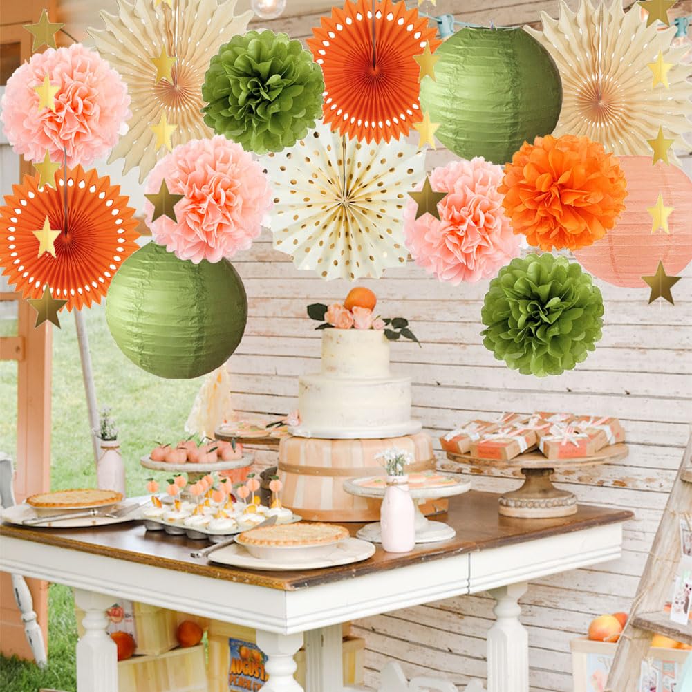 Olive Green and Orange Party Decorations Olive Birthday Party Decorations Peach and Orange Poms