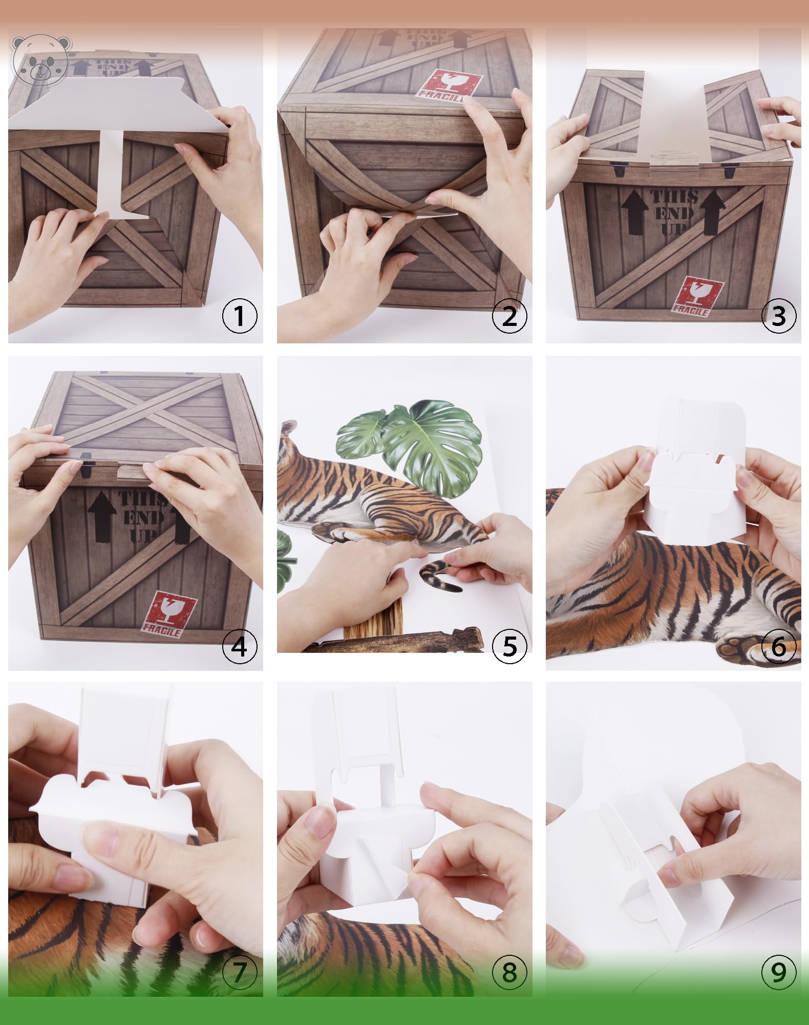 KARAQY Jungle Safari Party Decorations – 10 Inch Jungle Theme Favor Boxes with Wild Animal