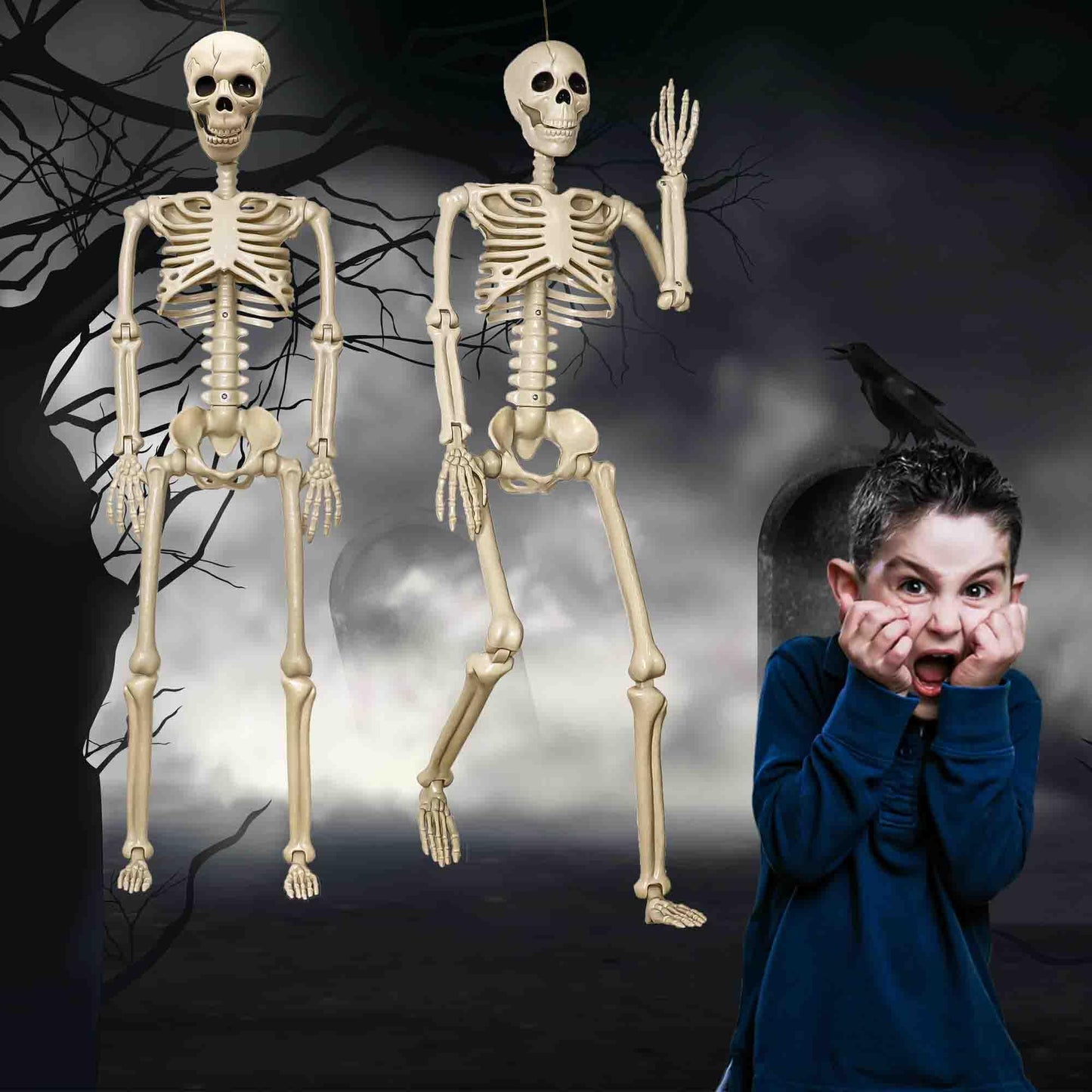 2 Pack 36"Halloween Skeleton - 3 ft Life Size Human Skeleton with Full Body Posable Joints Plastic