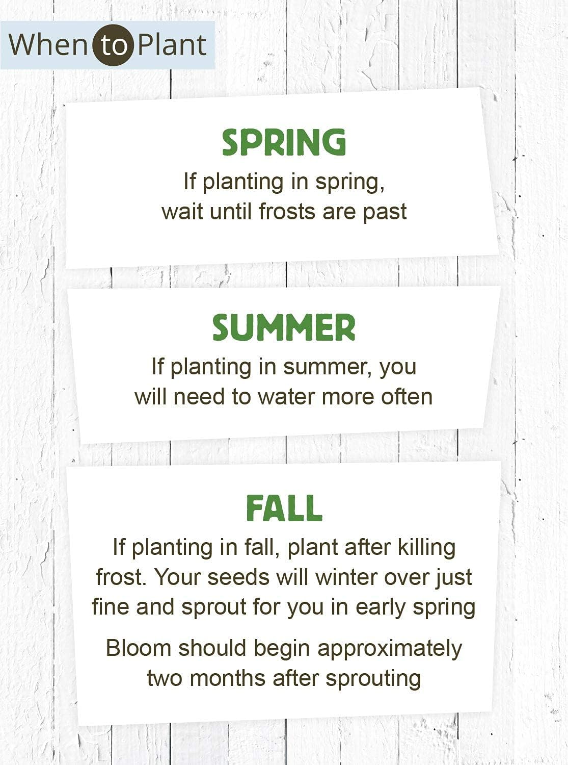 American Meadows Wildflower Seed Packets in Loving Memory Memorial Favors (Pack of 20) - Red Poppy Seed Mix, Favors for Funerals, Wakes, Viewings, Visitations, Memorial Services