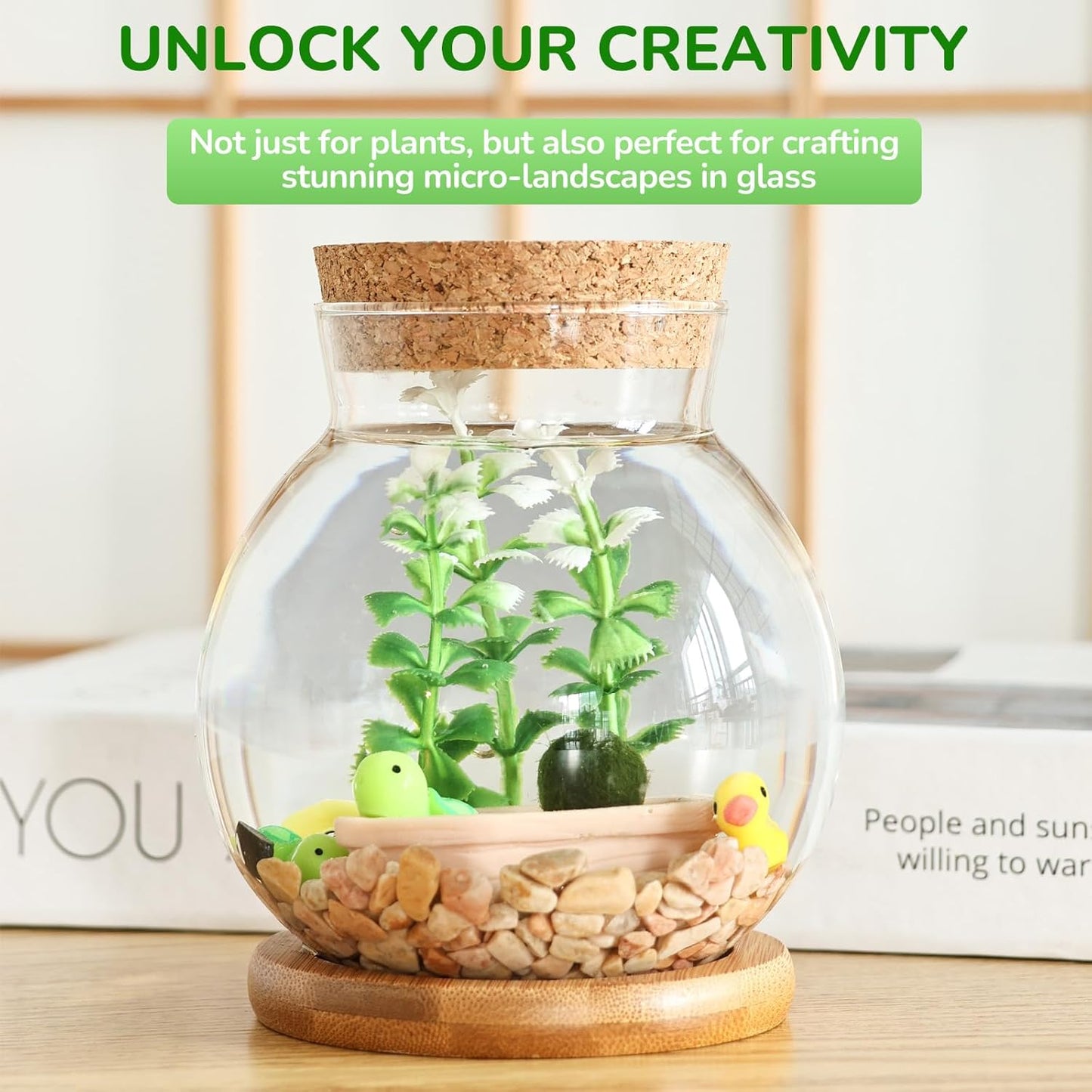 Propagation Station, Larger Capacity Ball Vase with Base for Hydroponic Plants, Home/Office Decor & Gift for Plant Lovers, 2pcs Glass Terrariums