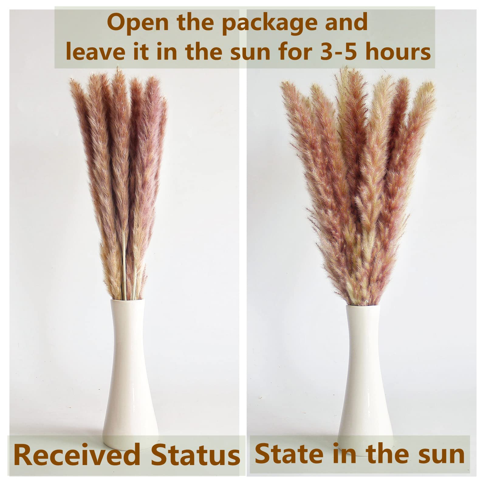 110 PCS of Boho Pampas Grass Decor, Naturally Dried Pompas, Bunny Tails Dried Flowers, and dried