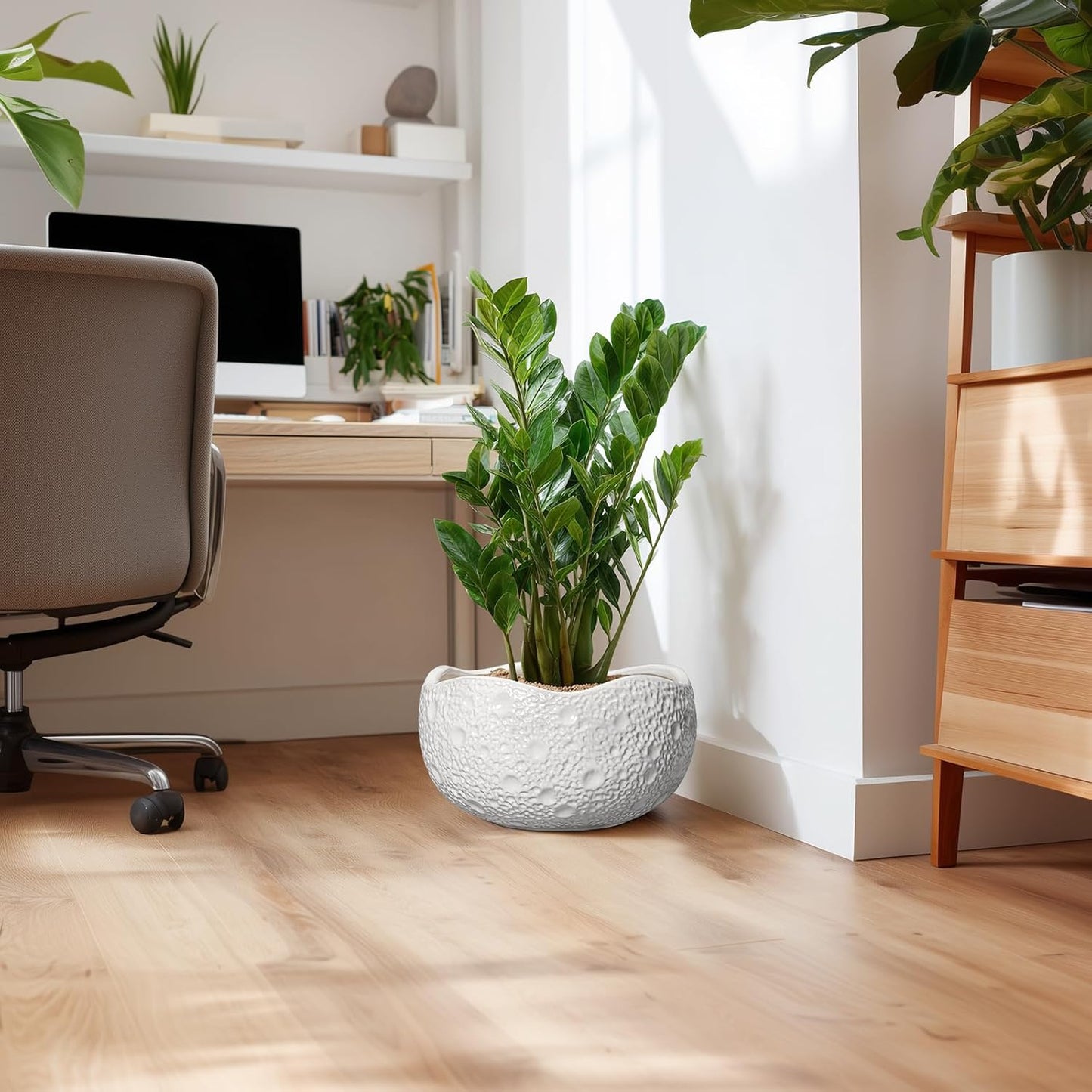 Large Bonsai Pots - 13 Inch Ceramic Planter for Indoor Outdoor, Round Plant Pot, Decorative Flower Pots with Drainage Hole, Modern Unique Planters, Garden Decor Home, Garden Gifts, White