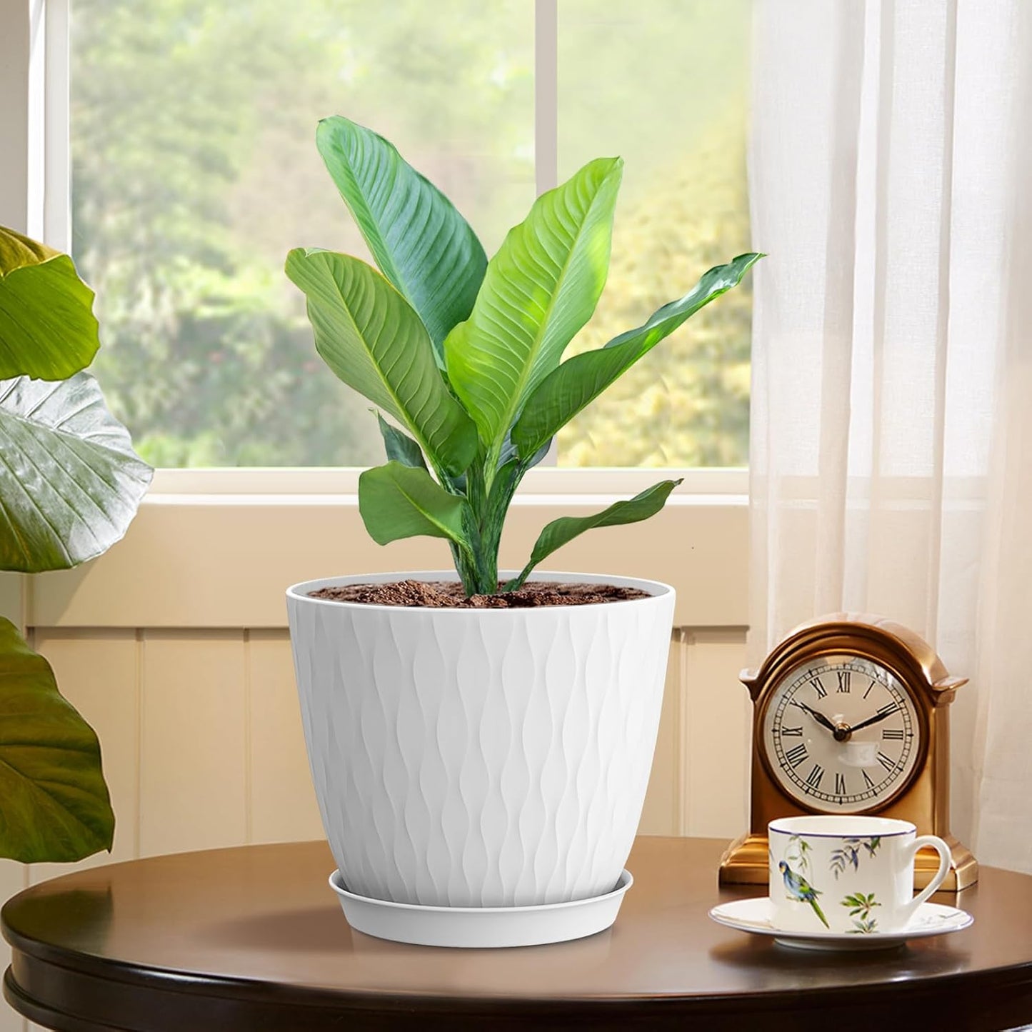 6 inch Flower Pots, 5 Pack Plant Pots with Drainage Holes and Saucers for Indoor Plants, Plastic Planters with Water Ripple for Small Garden House Plants, Nursery Pots for Succulent, White